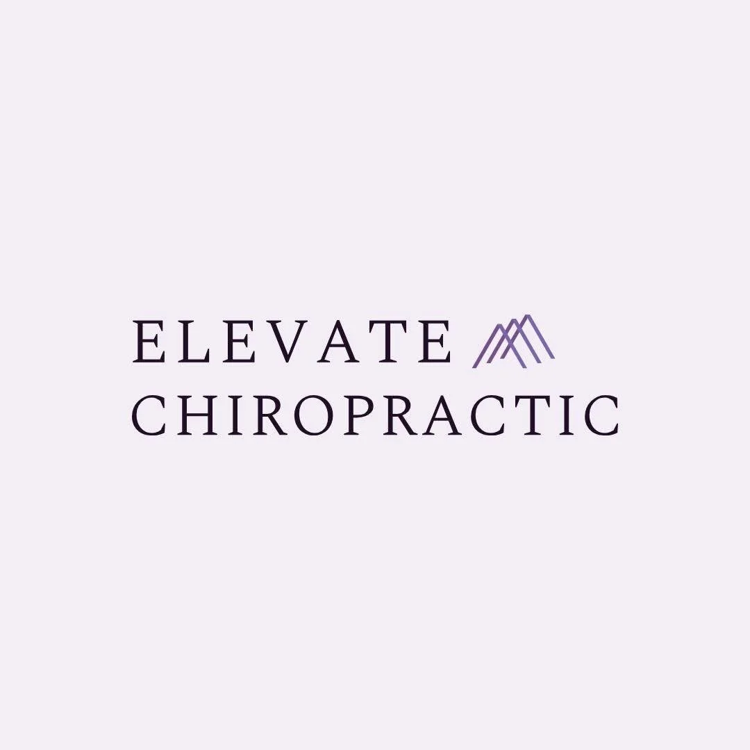 reads, "elevate chiropractic," with three mountains to the side