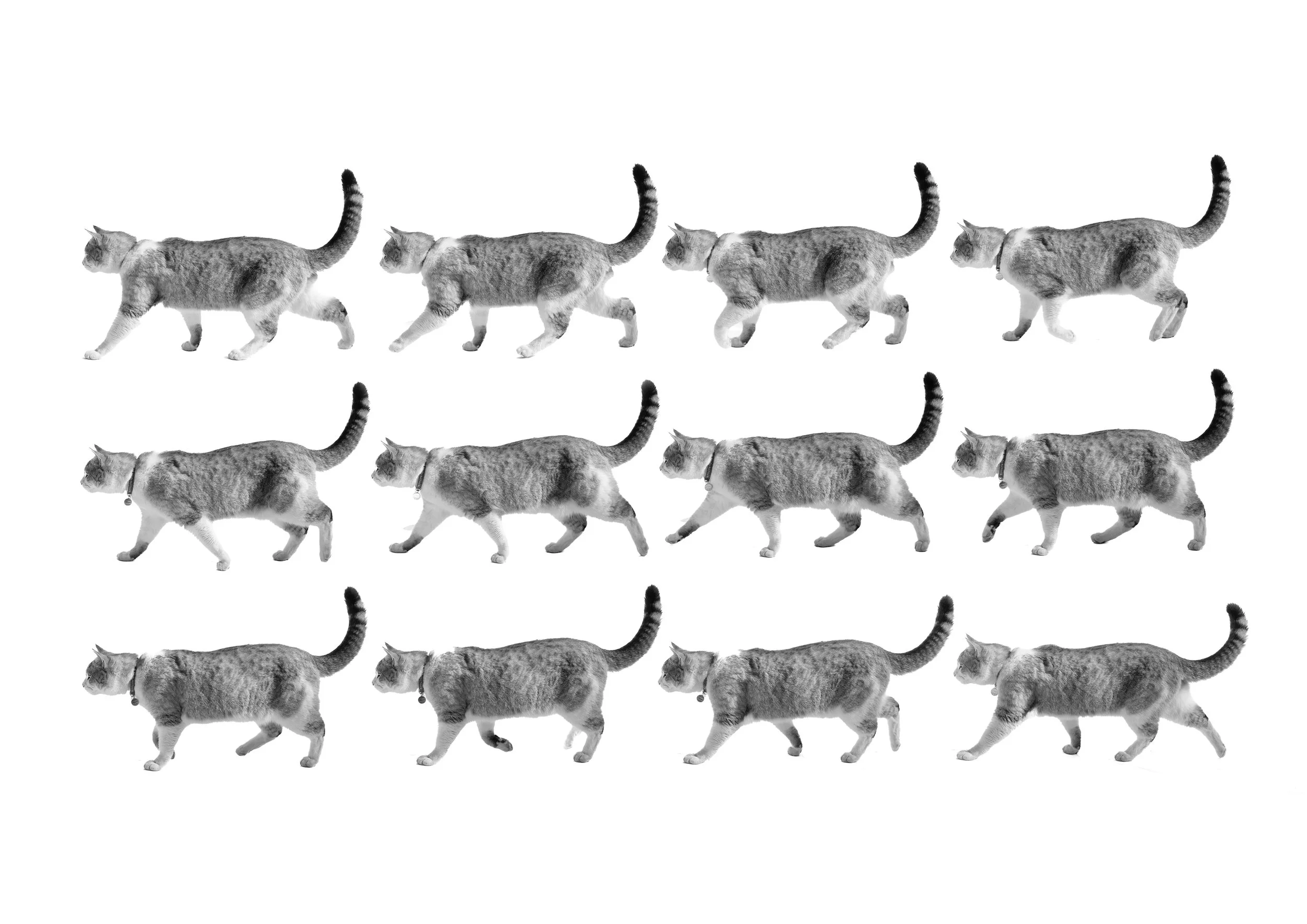 charliegrid copy 3.jpg