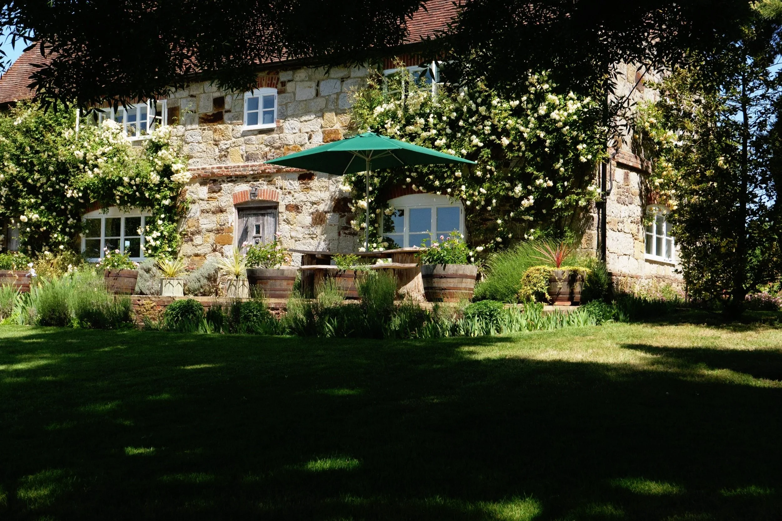 A stone house with white-framed windows and a wooden door, surrounded by blooming white flowers and lush greenery, with a green patio umbrella and garden furniture in the front yard.