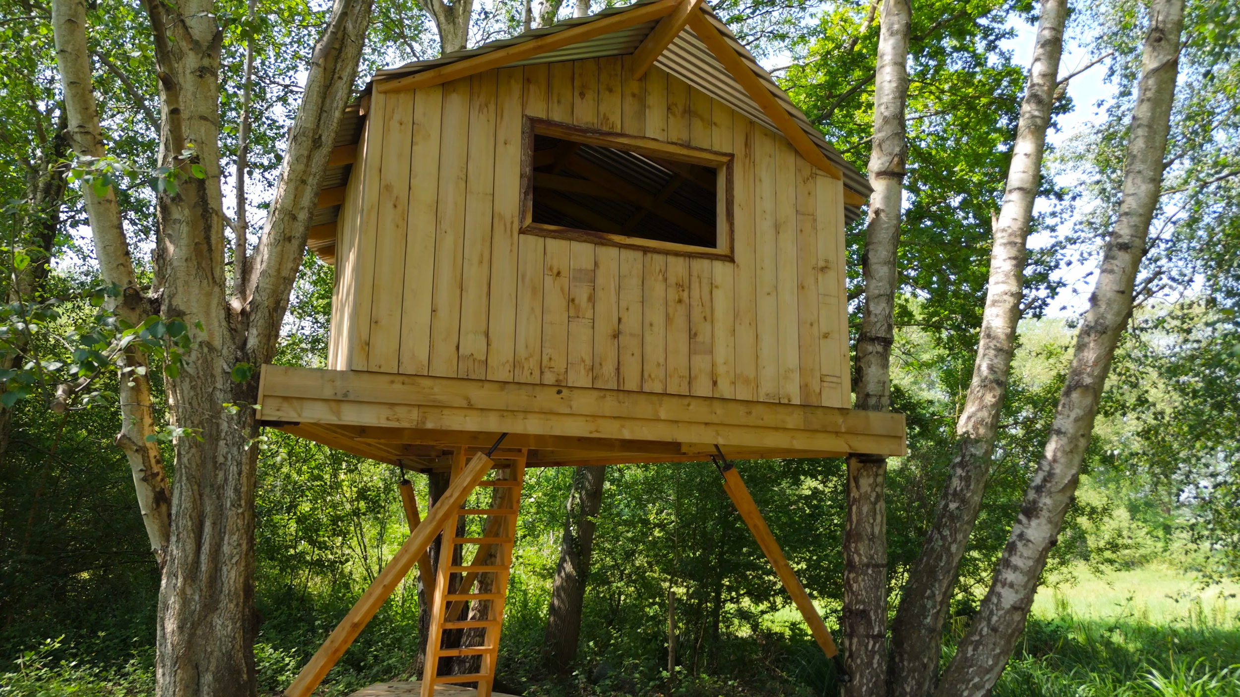 Treehouse under construction in a wooded area, with wooden walls, a ladder, and a roof, surrounded by green trees and foliage.