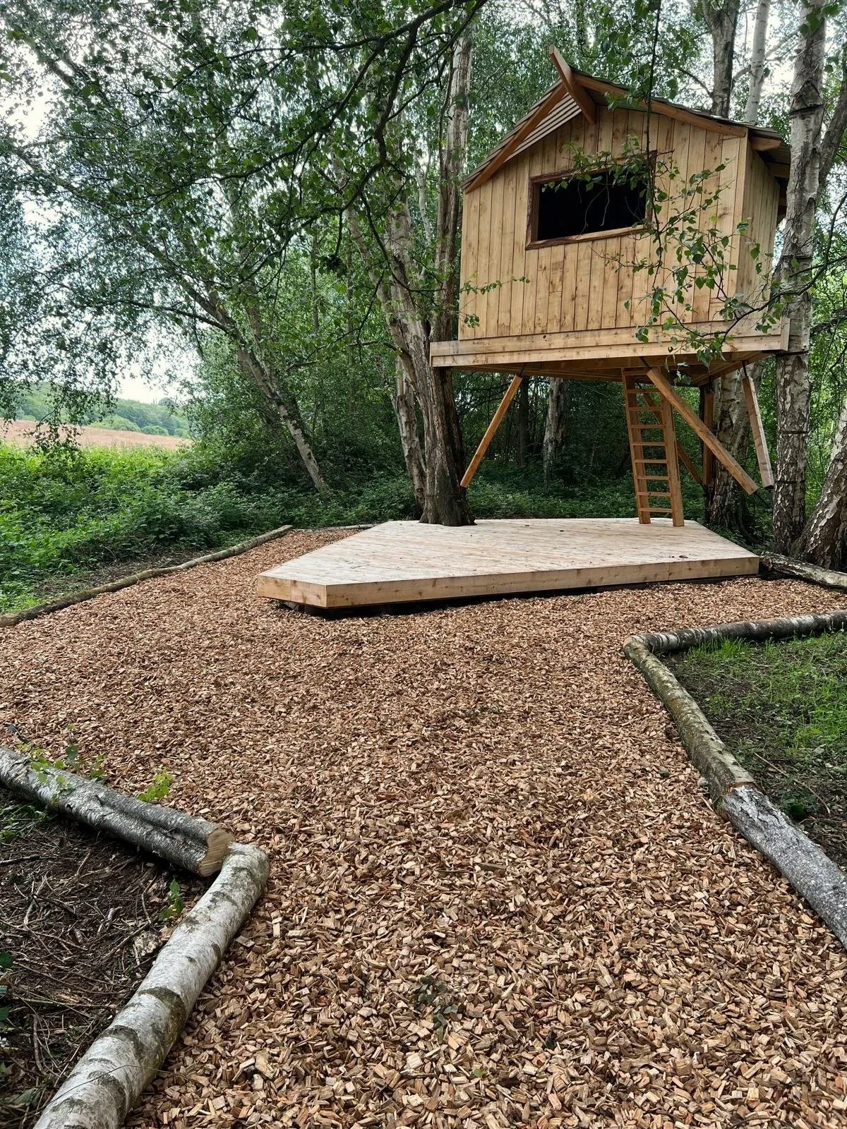 Treehouse clearing