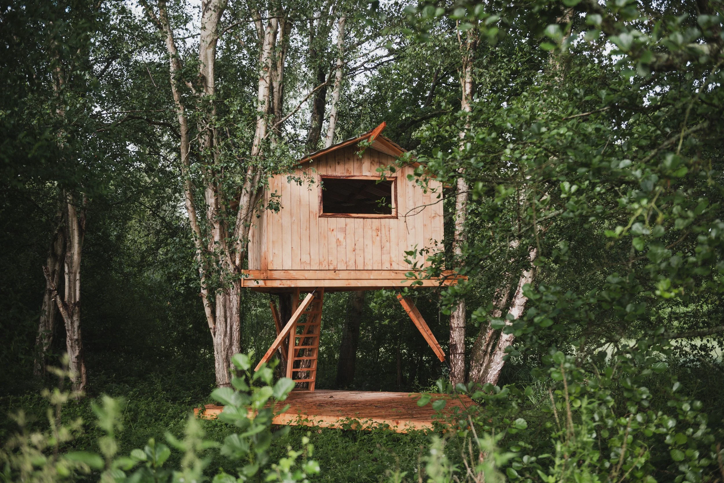 A wooden treehouse built among green trees, with a staircase leading up to the entrance.