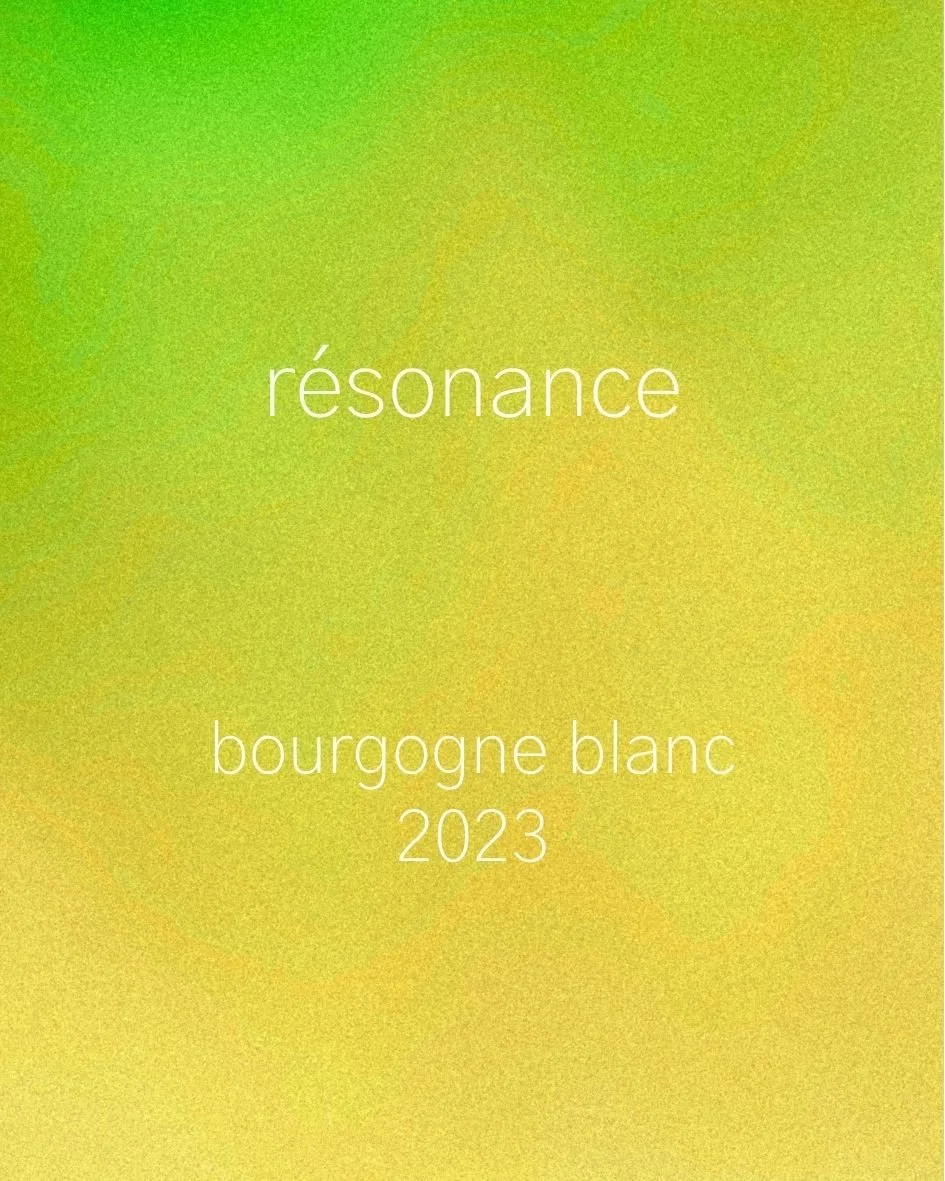 bourgogne blanc 2023