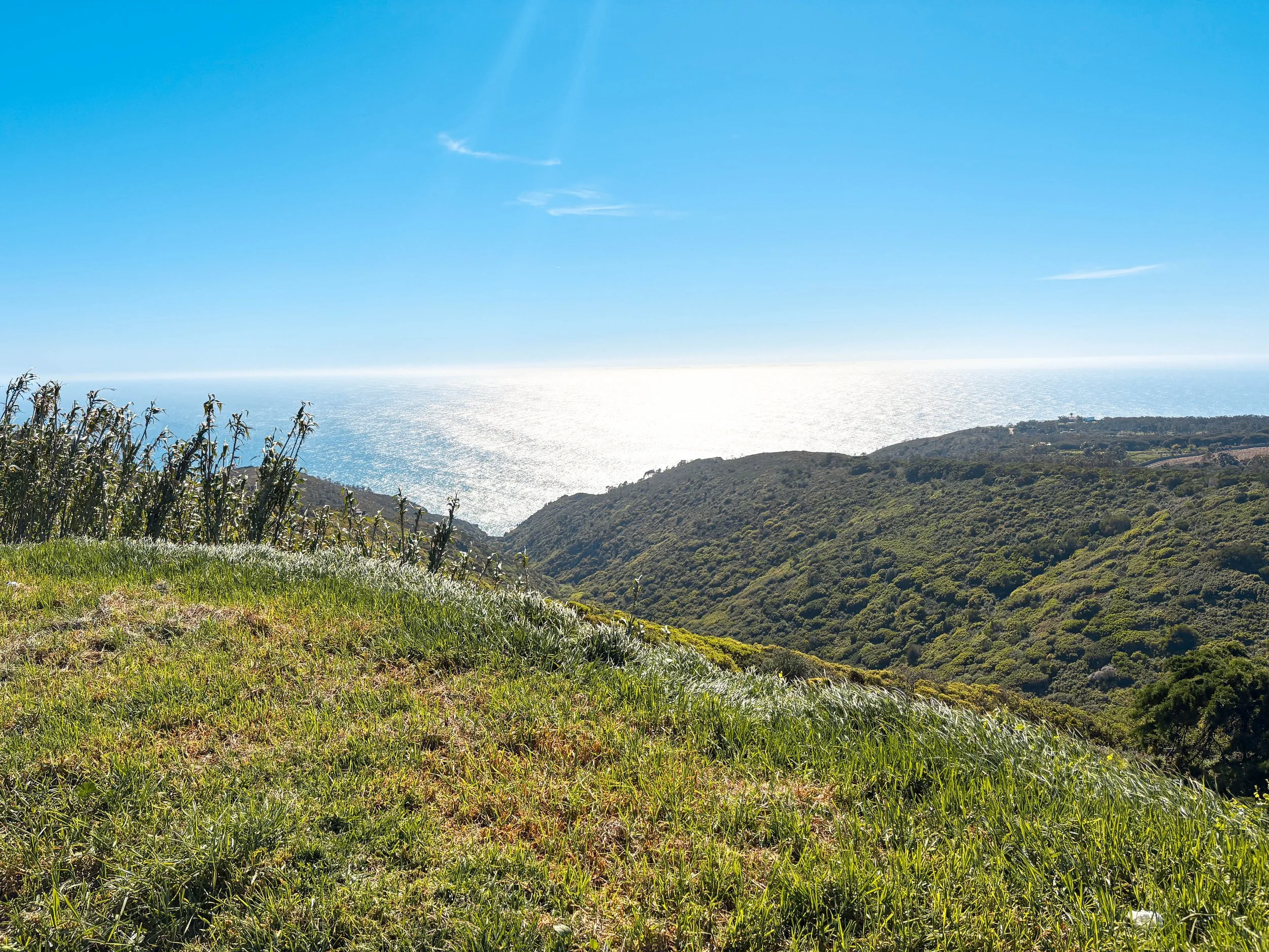 Cena de uma paisagem costeira com vegetação verde e colinas ao redor, vista para o mar sob céus claros e ensolarados.
