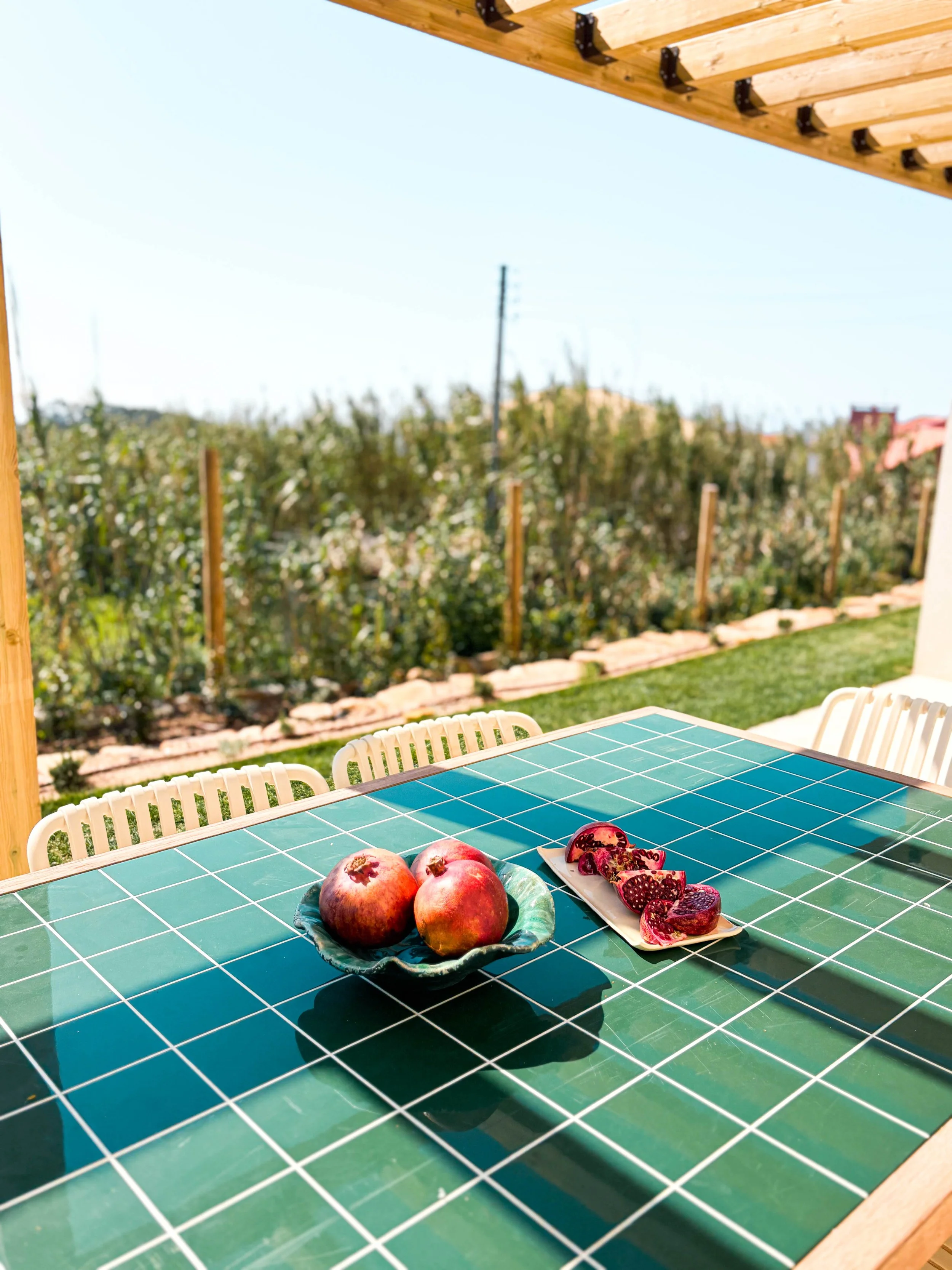 Mesa de exterior com frutas, incluindo romãs e maçãs, sob uma cobertura de madeira, com vista para um campo ou jardim ao fundo.
