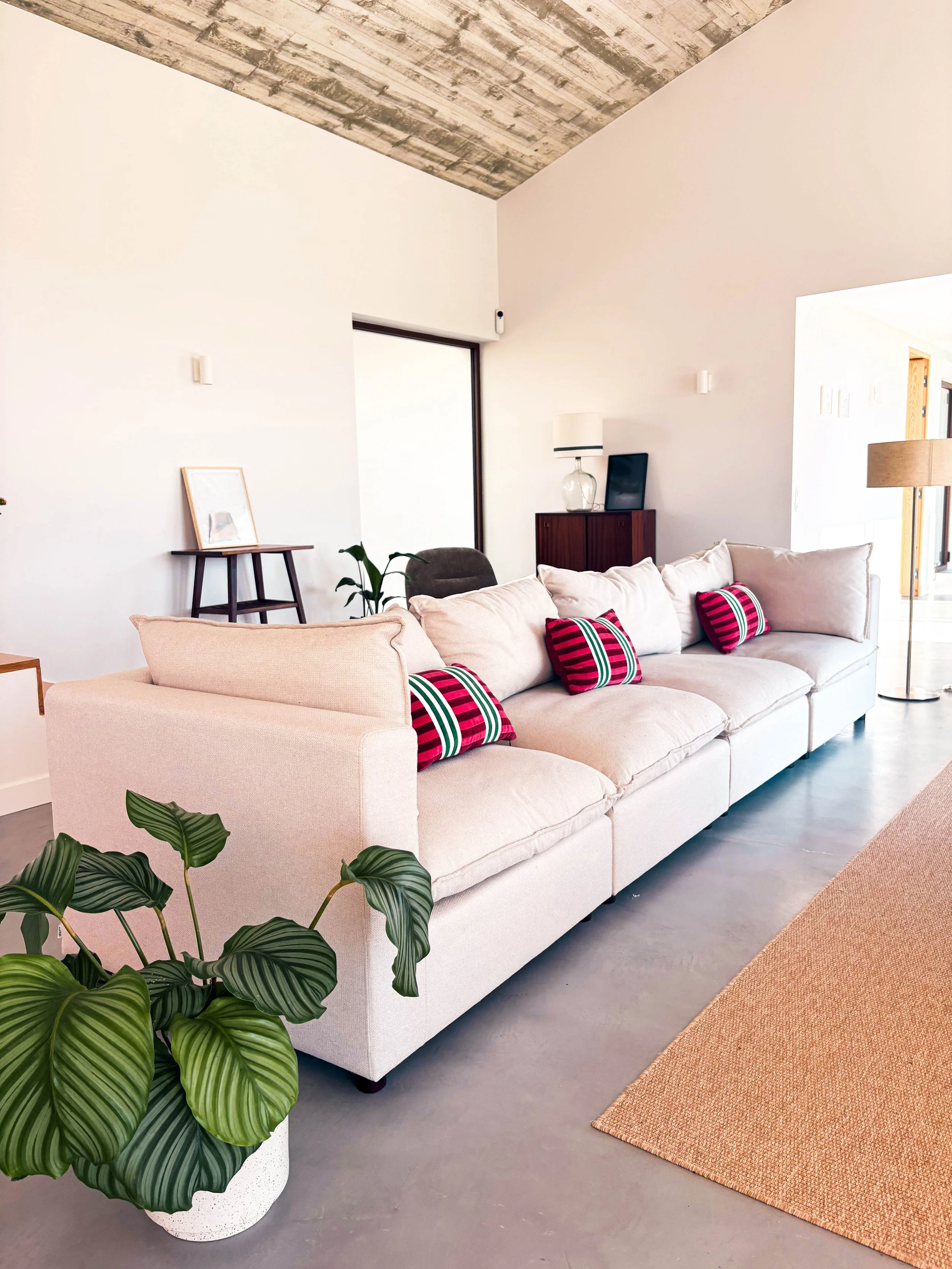 Sala de estar com sofá bege, almofadas coloridas, planta em vaso branco, parede branca, teto de concreto, e iluminação natural.