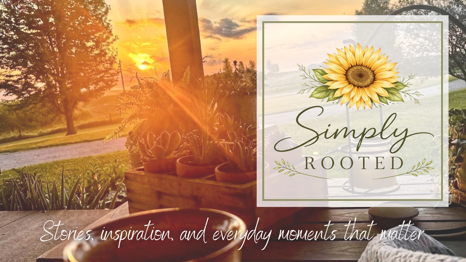 Simply Rooted