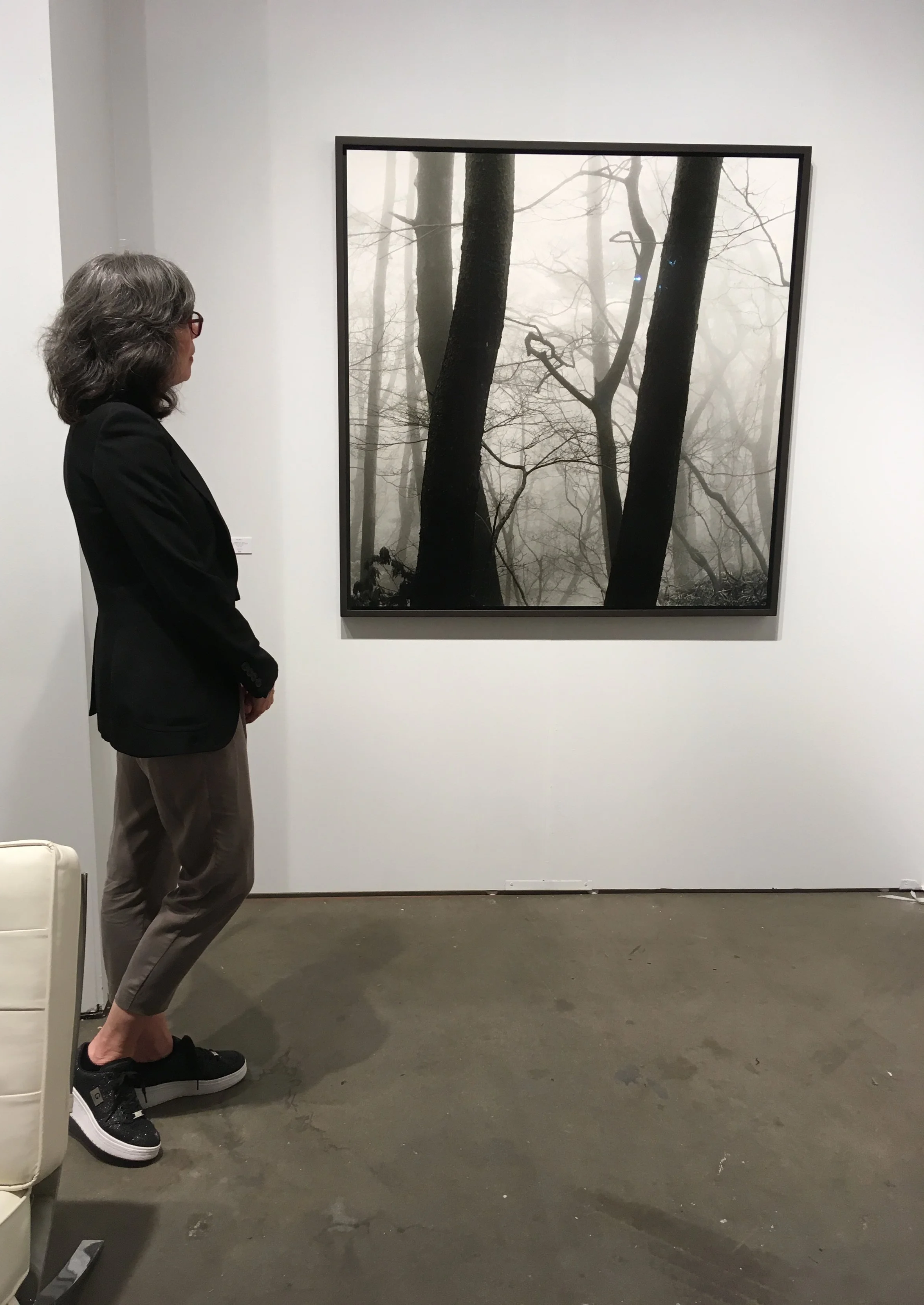 A woman with gray hair, glasses, a black blazer, gray pants, and black sneakers stands in an art gallery looking at a black-and-white photograph of a foggy forest with trees.