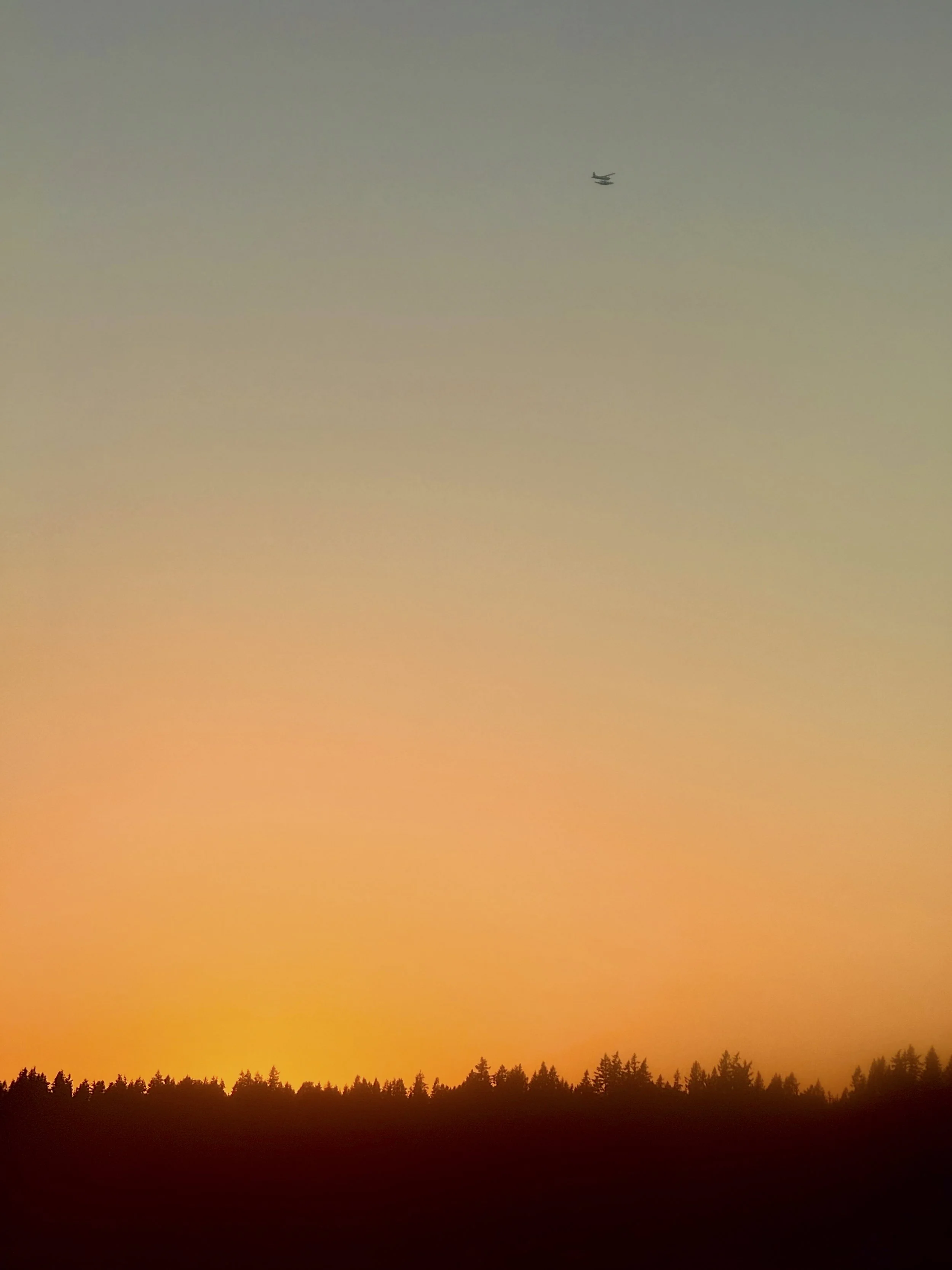 Afloat | Seattle | 2025