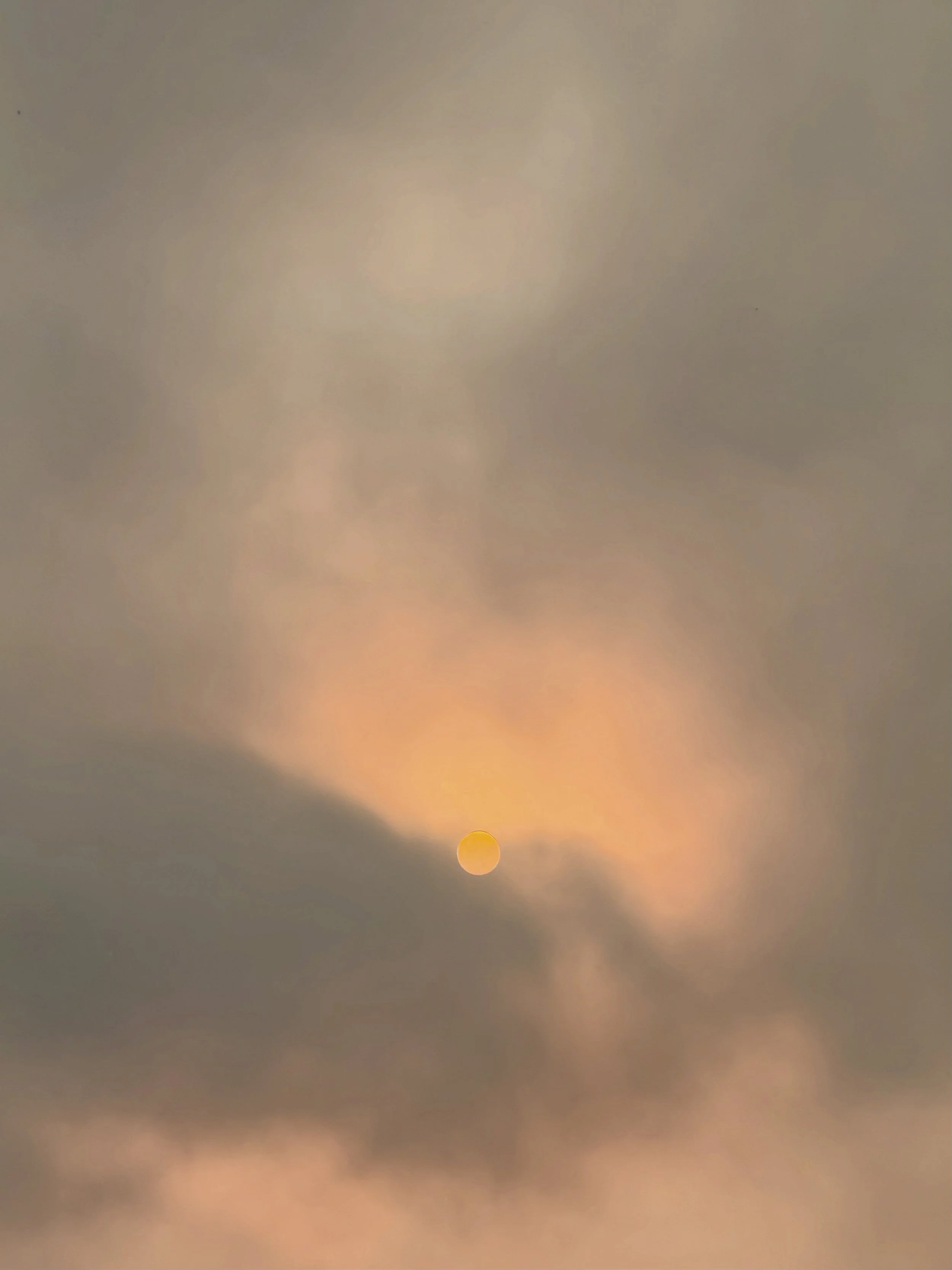 Peek | Seattle | 2025