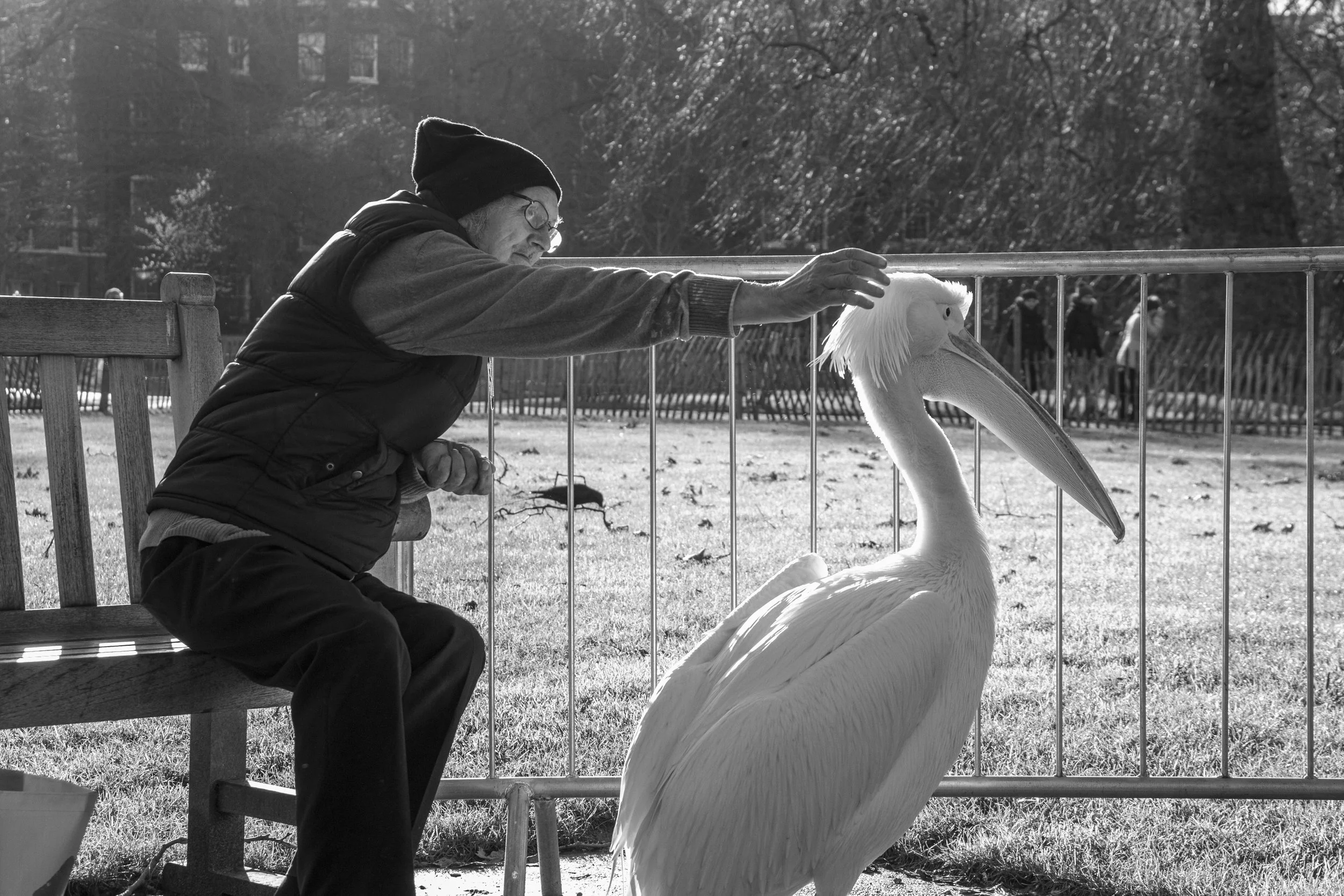 Odd Couple 2 | London | 2013