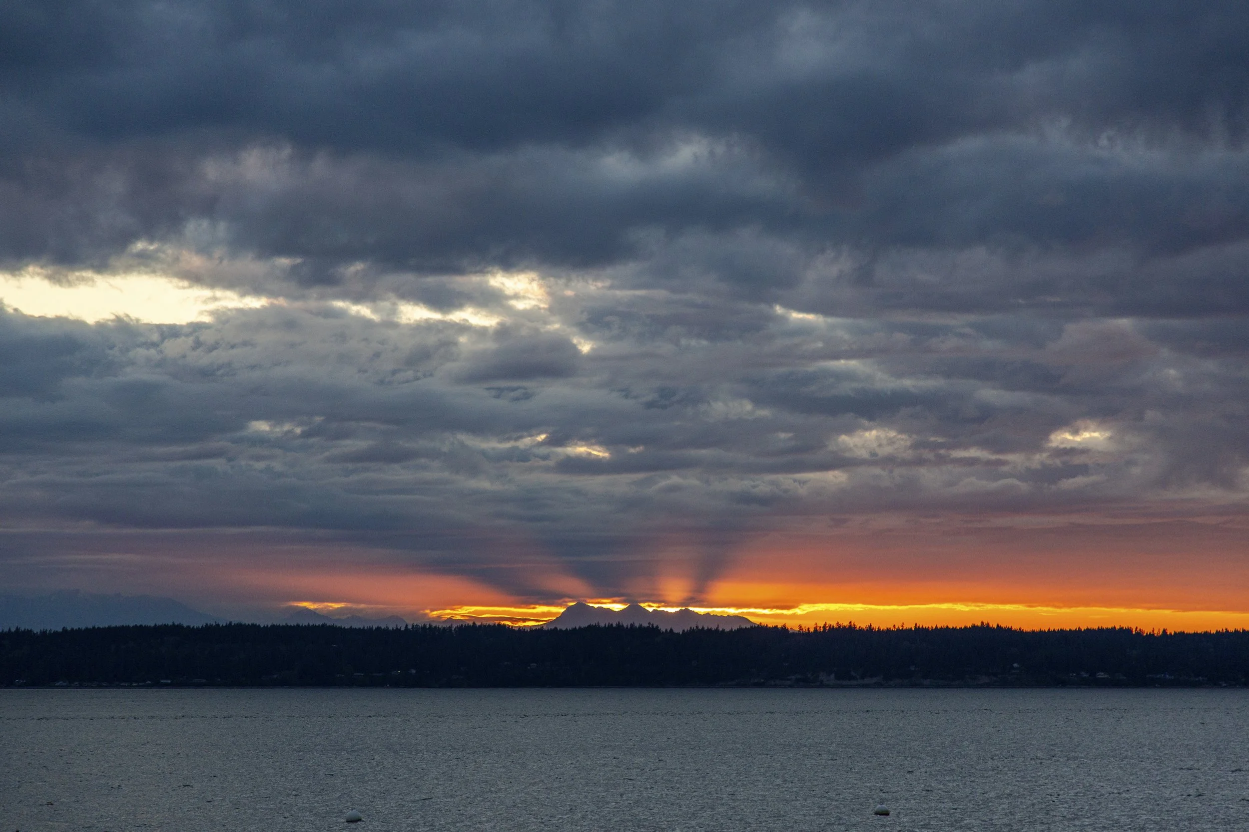 Breaking Through | Whidbey Island | 2020