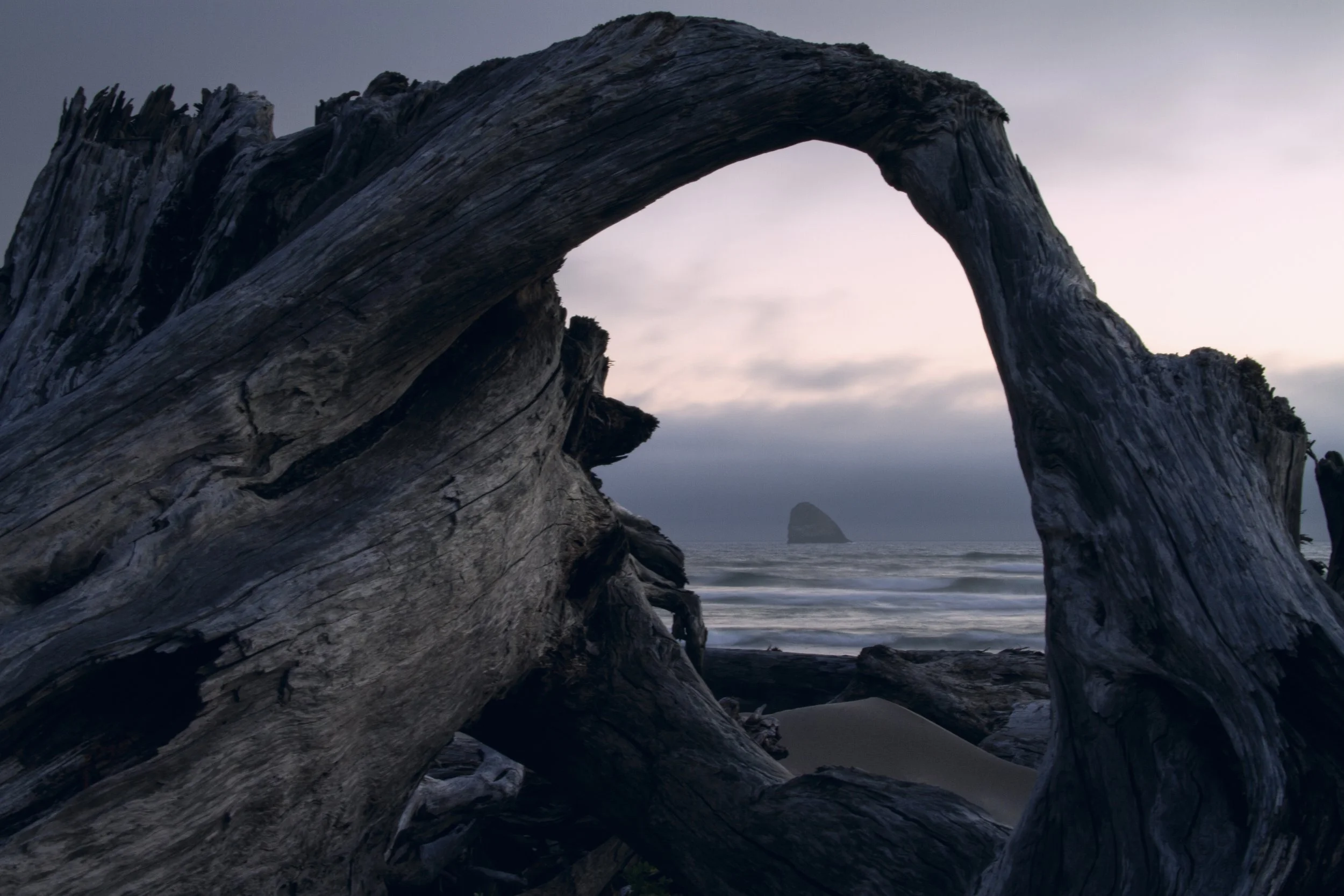 Adrift | Braners Beach | 2013