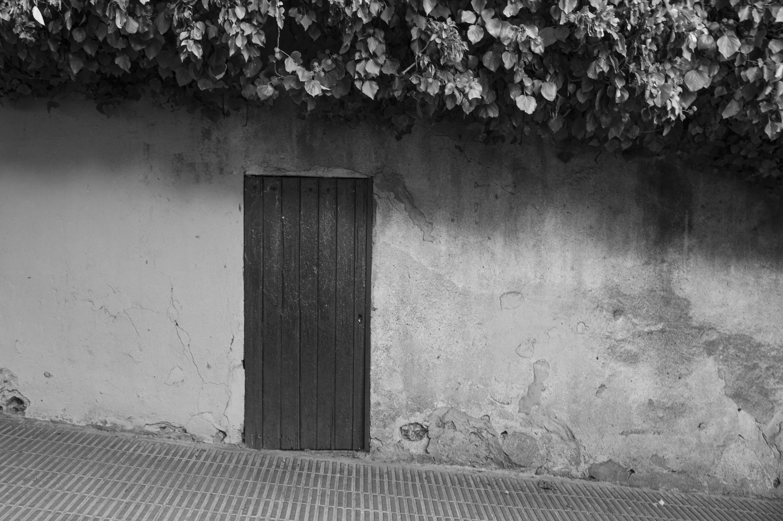 Speakeasy | Barcelona | 2013