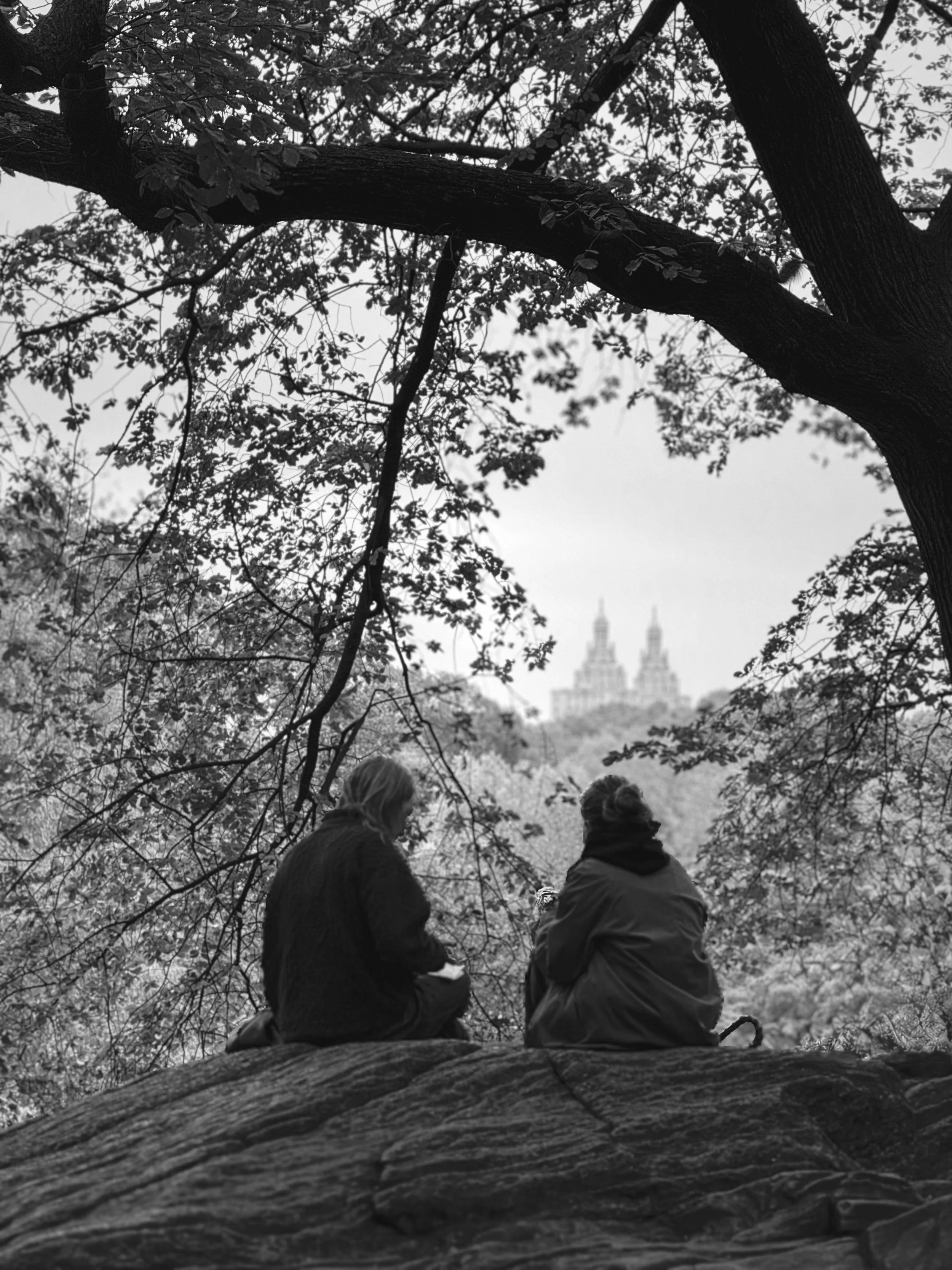 Twin Peaks | NYC | 2025