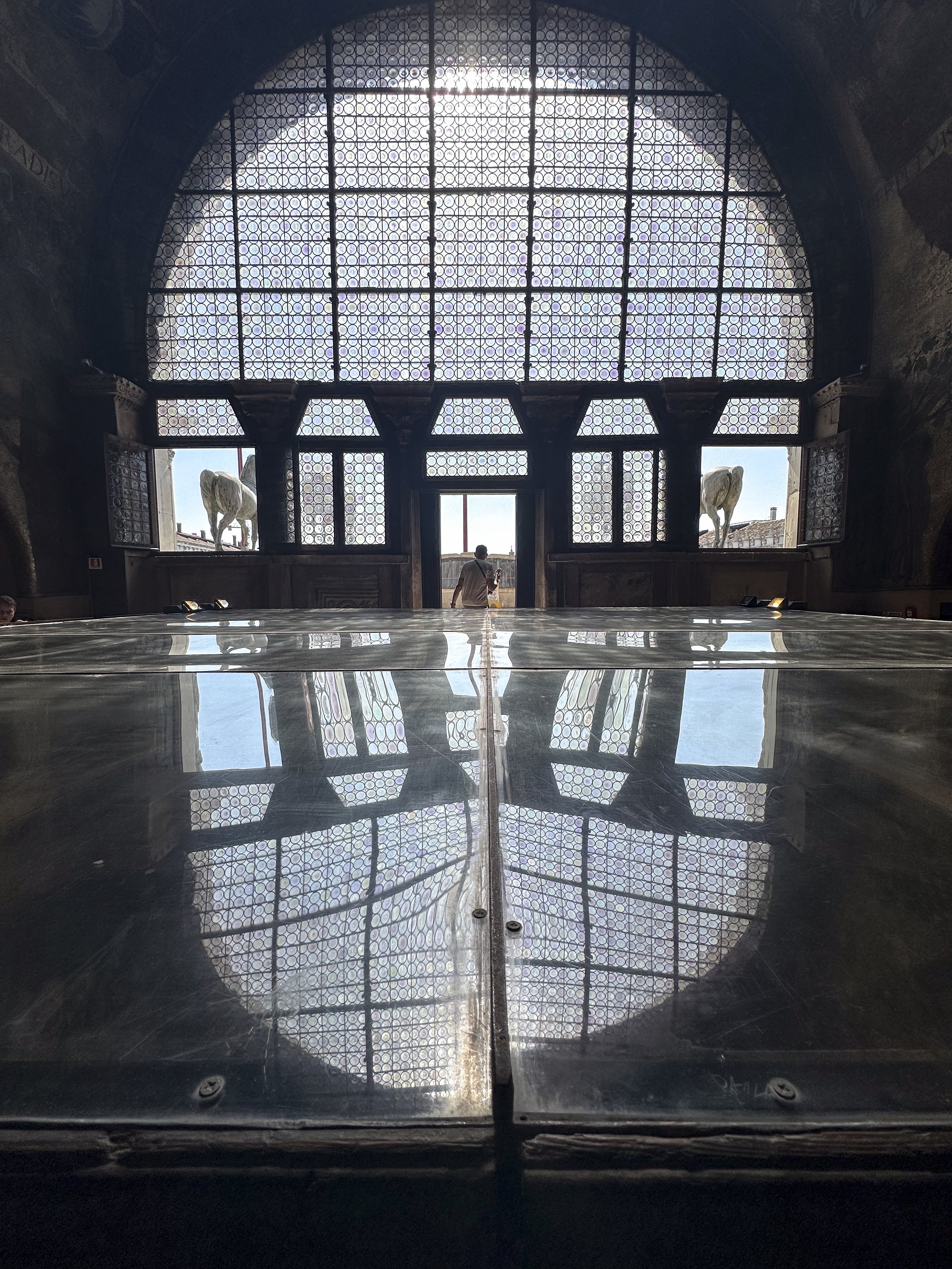 Flanked | Venice | 2024