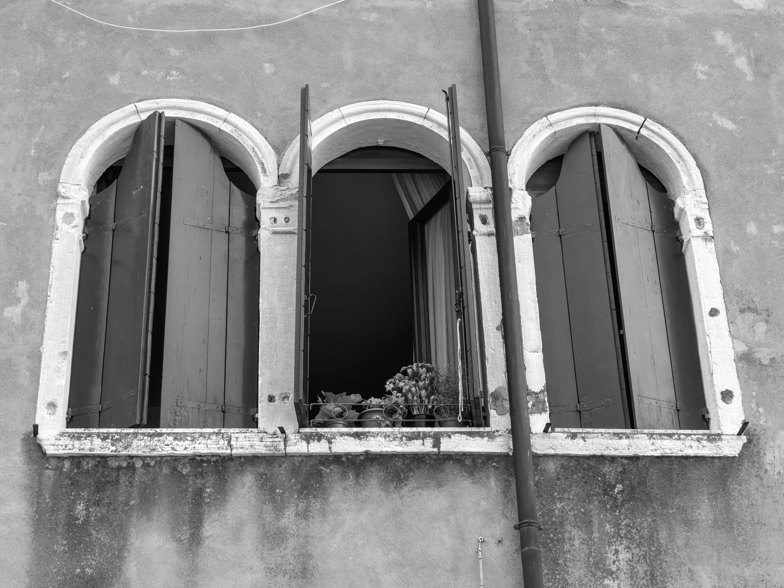 Breath | Venice | 2024