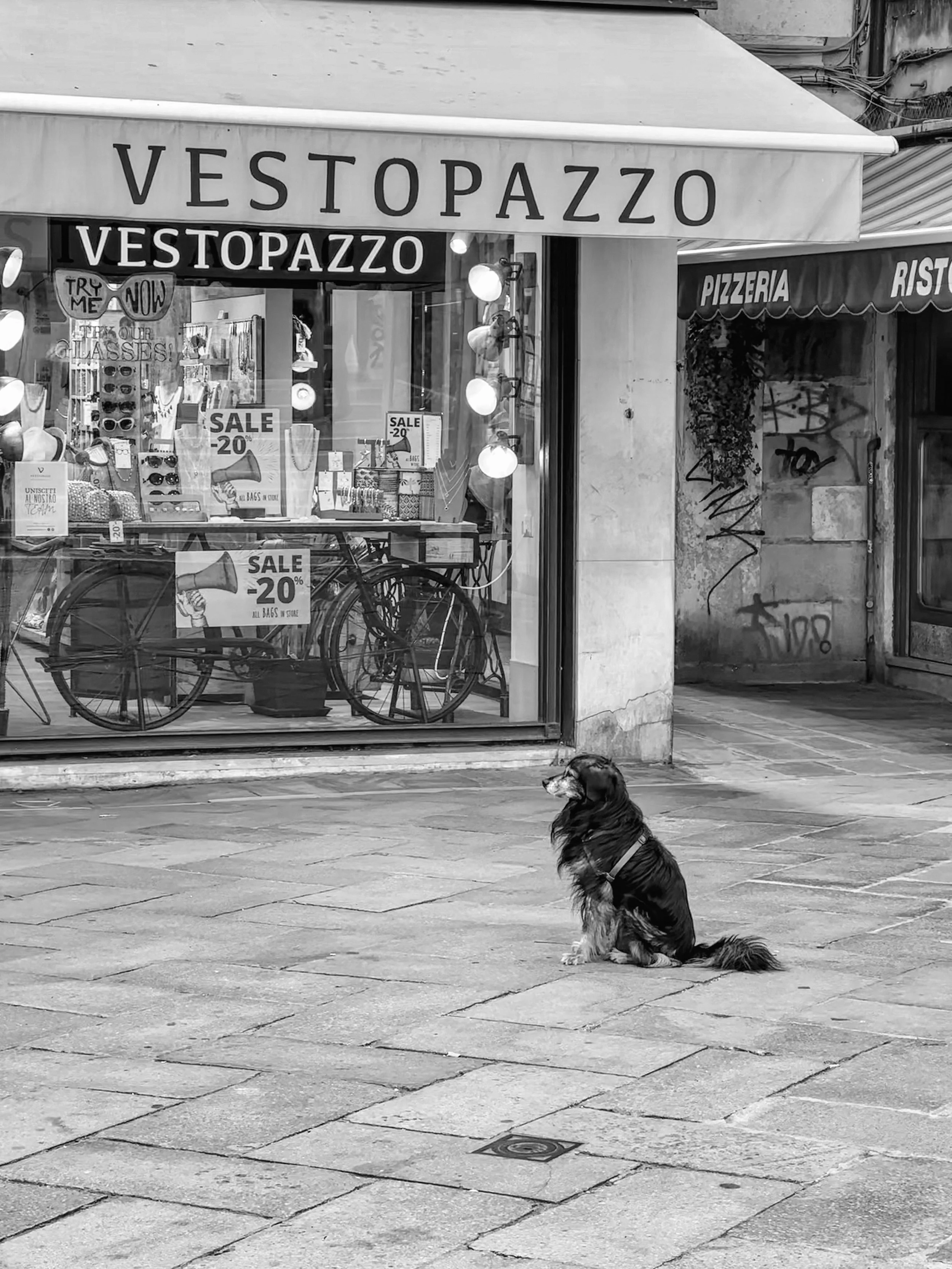 Unimpressed | Venice | 2024