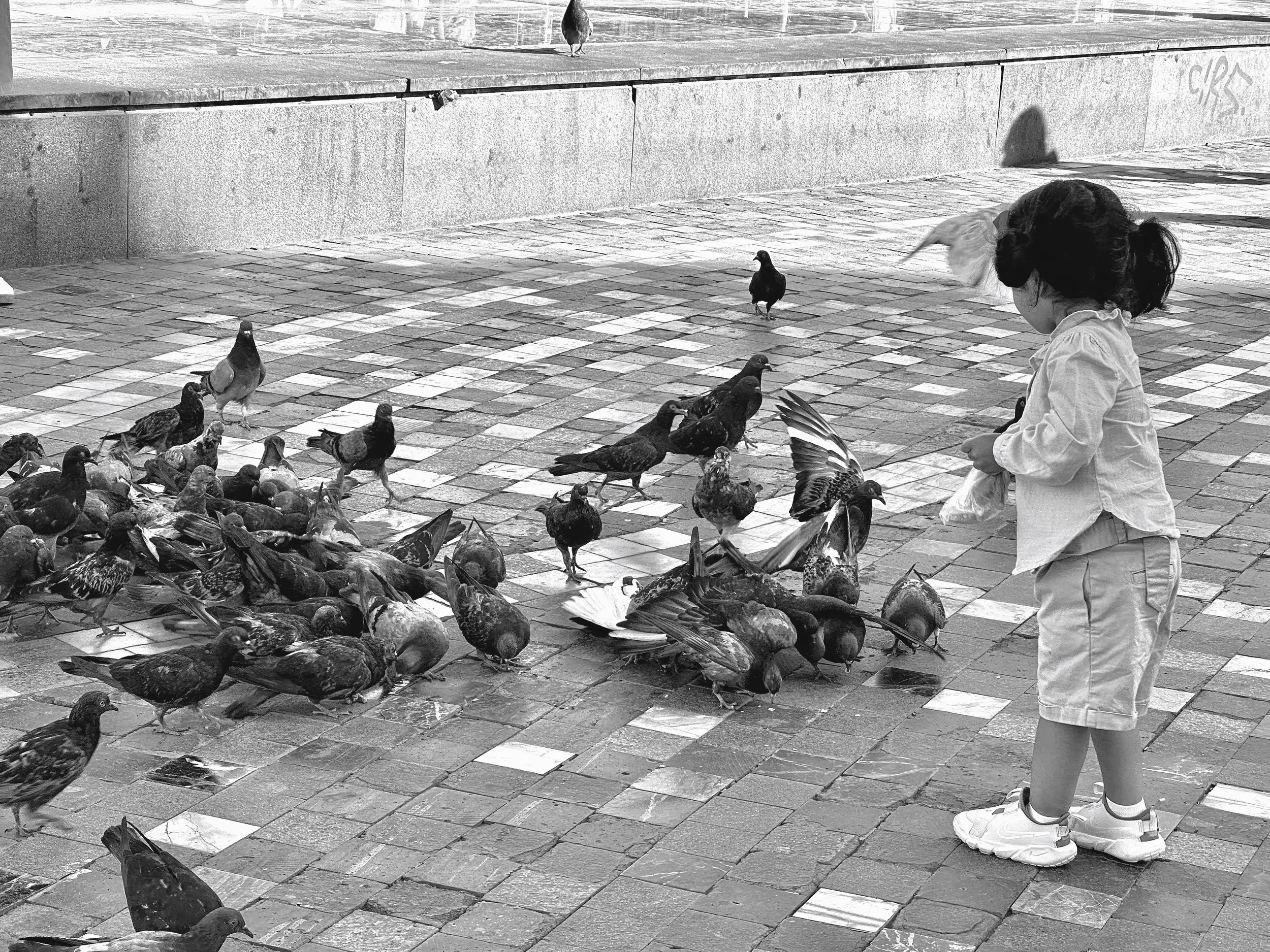 Treats | Athens | 2024