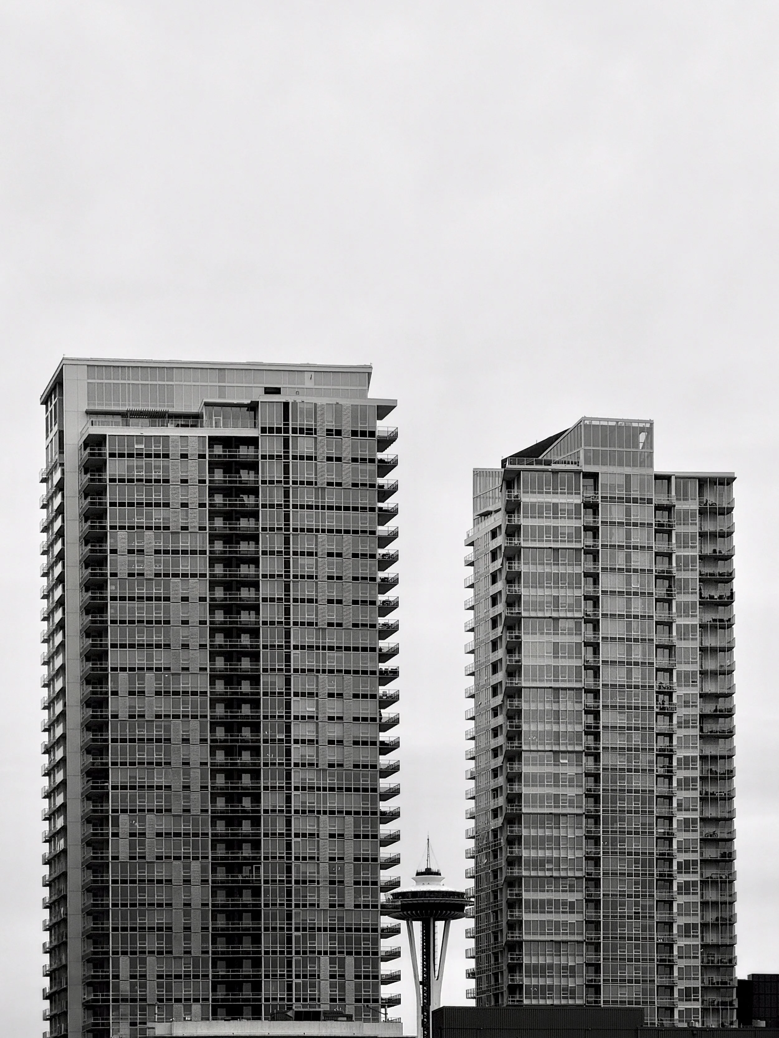 Peep | Seattle | 2025