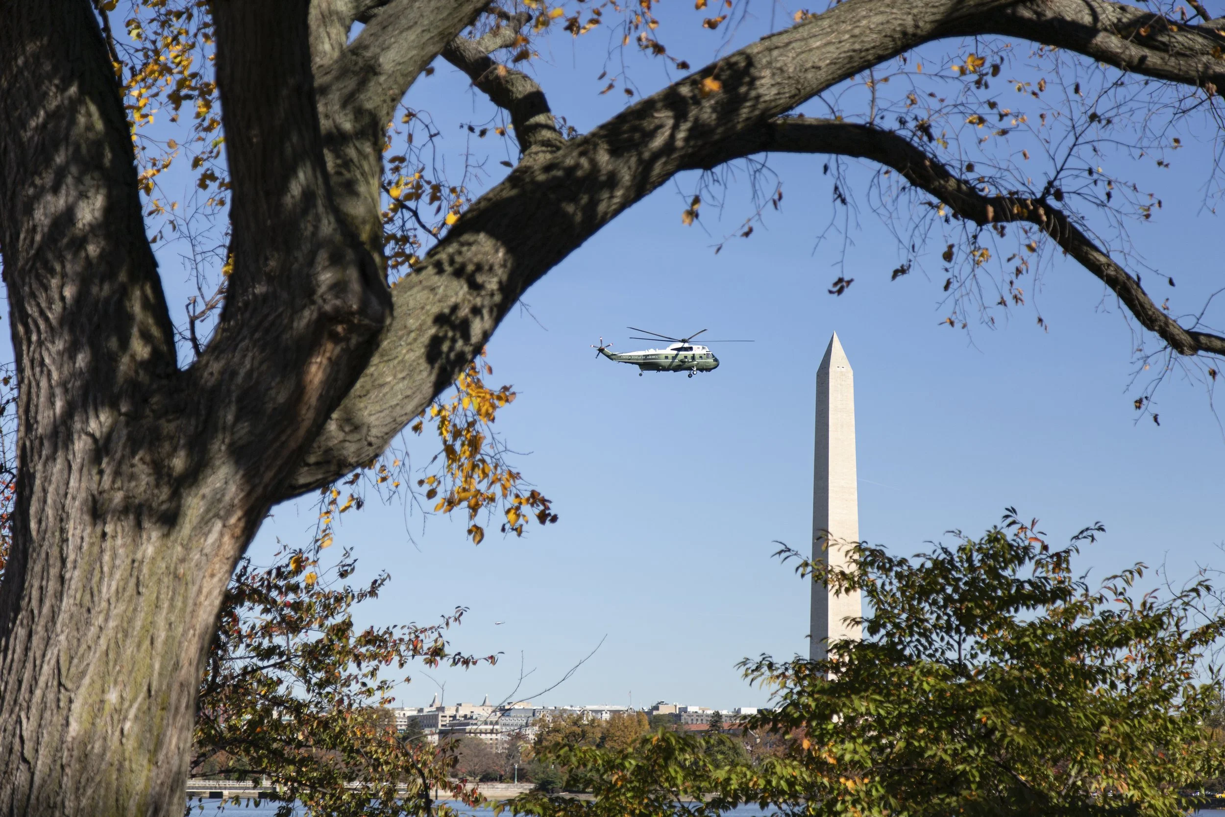 Sneaking | Washington DC | 2016