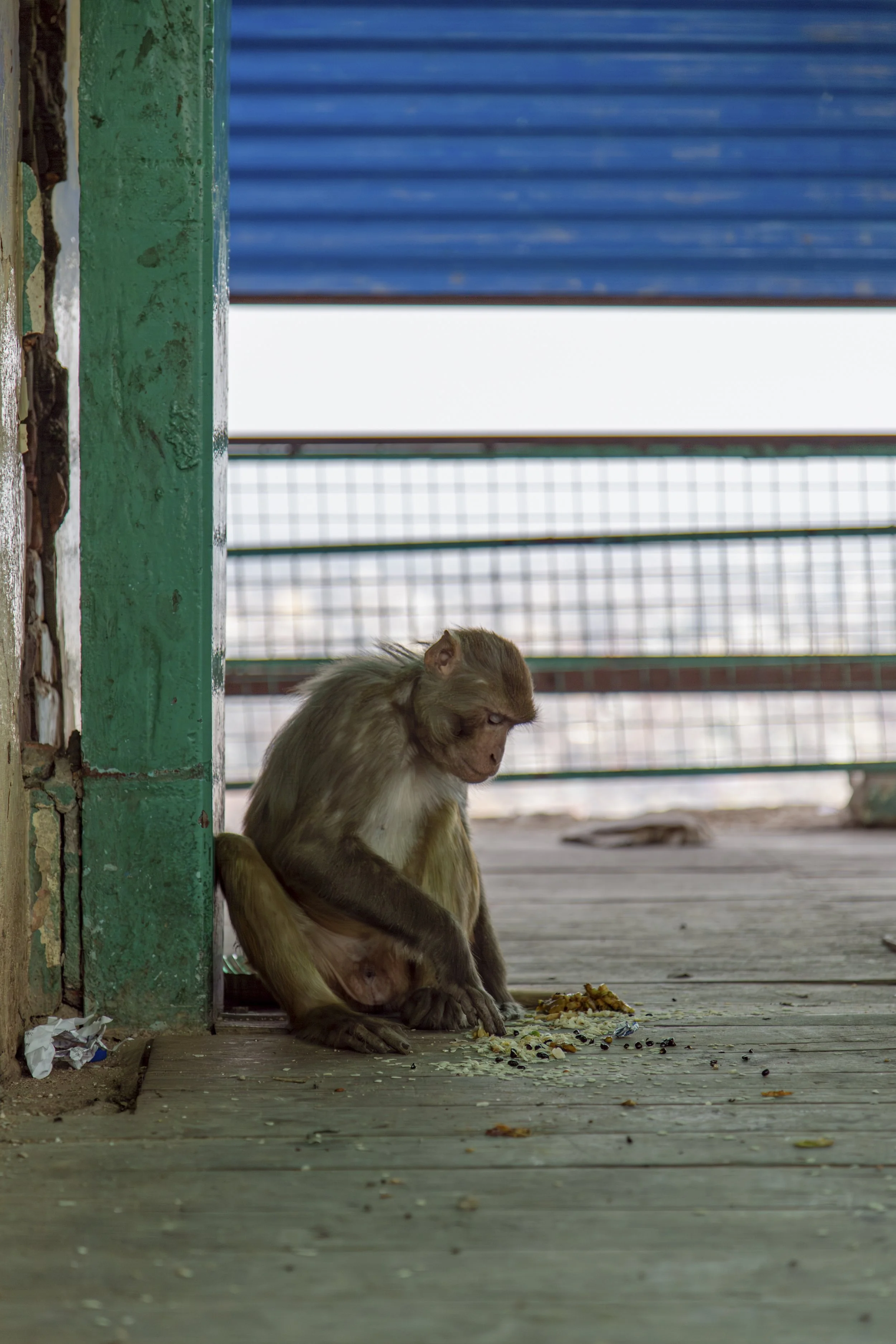 Quiet Meal | Nepal | 2016