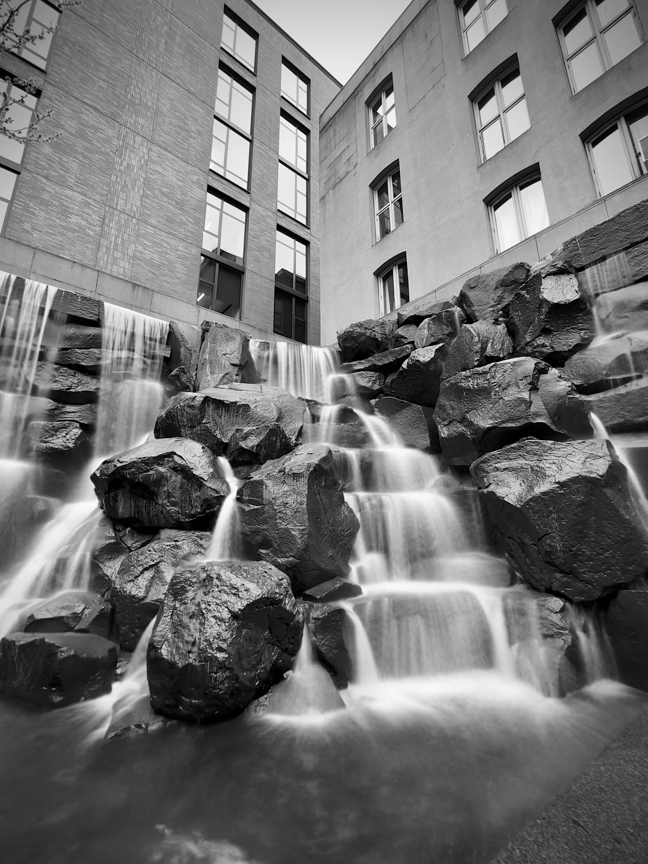 Flow | Seattle | 2025