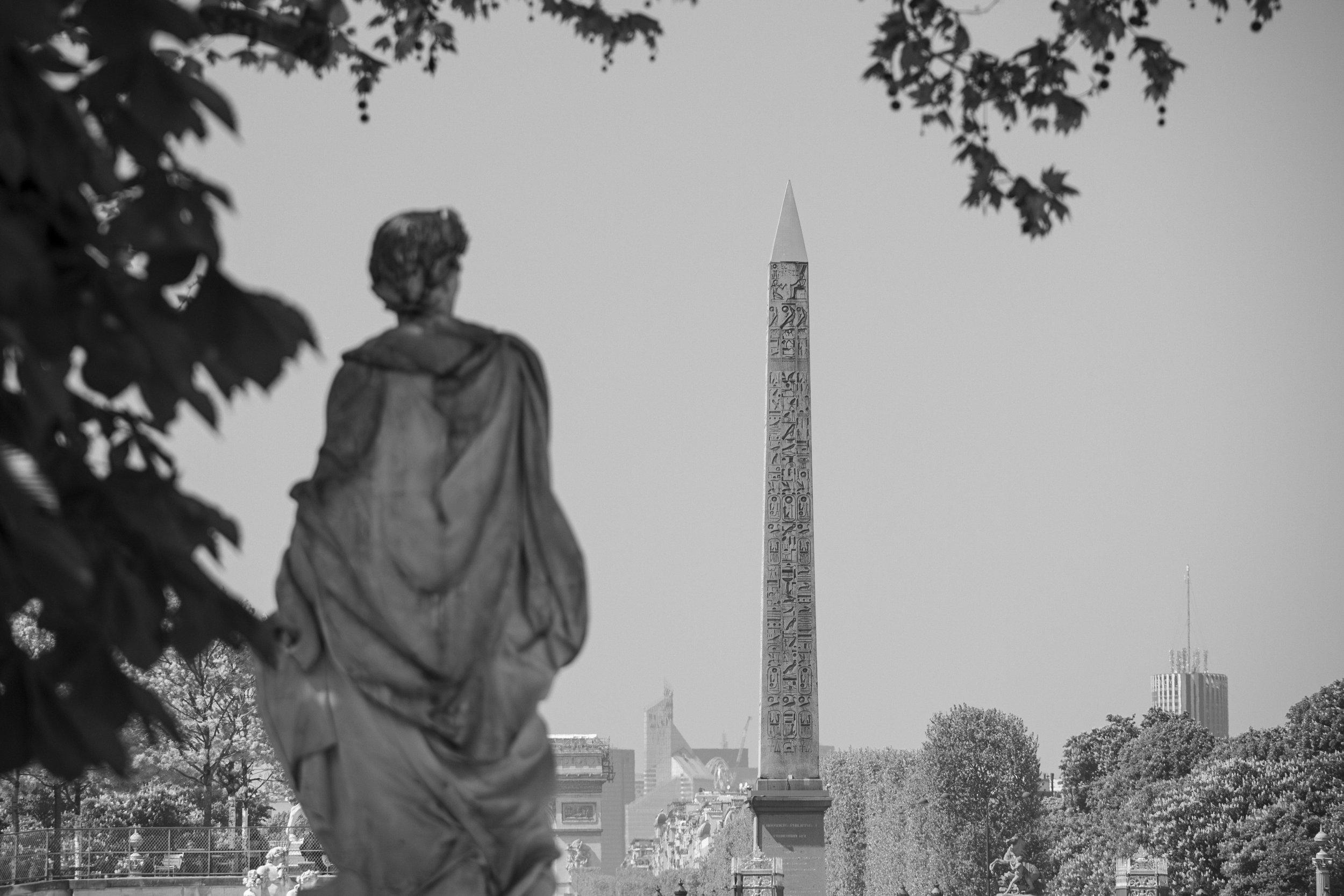 Admiration | Paris | 2014