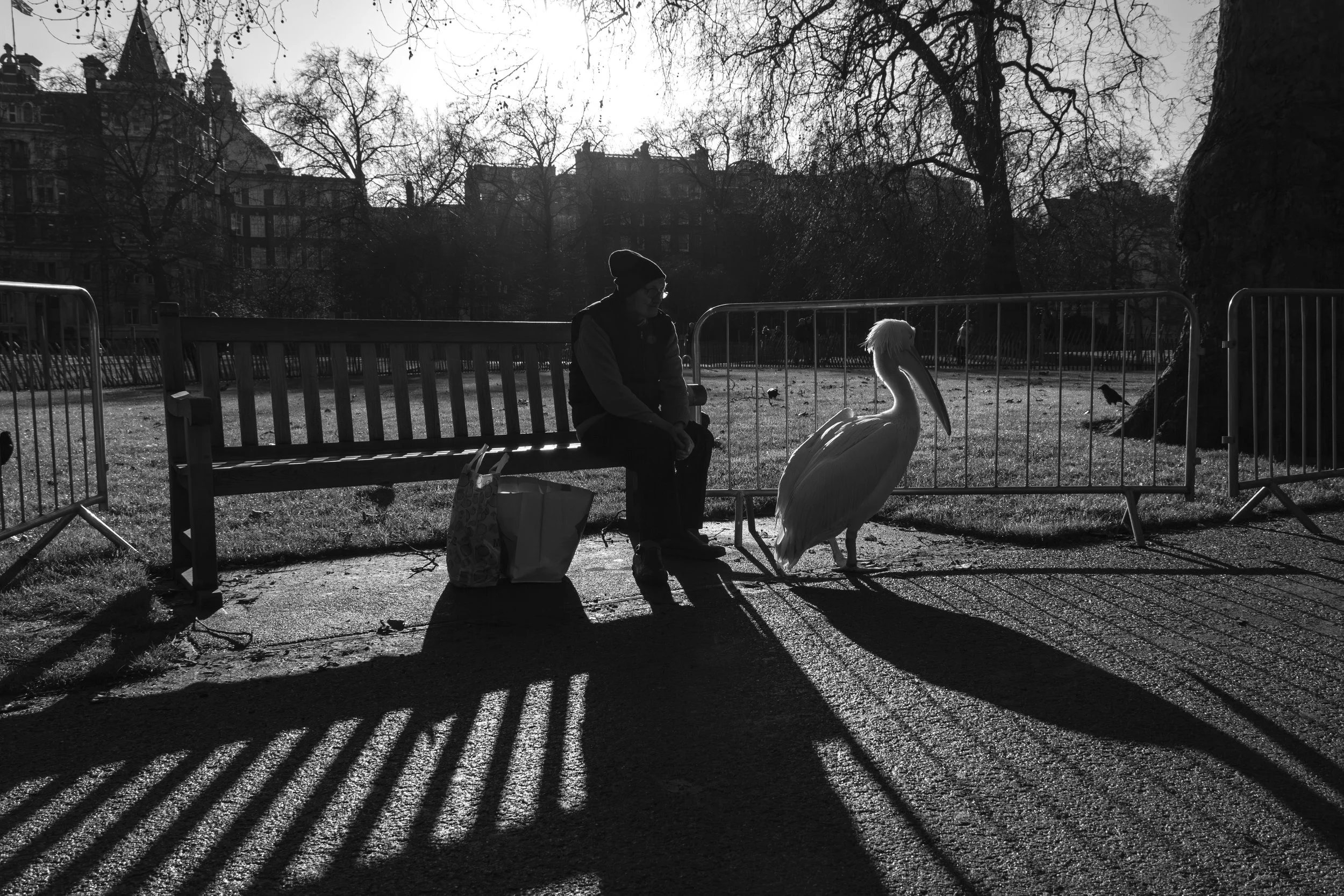 Odd Couple 1 | London | 2013