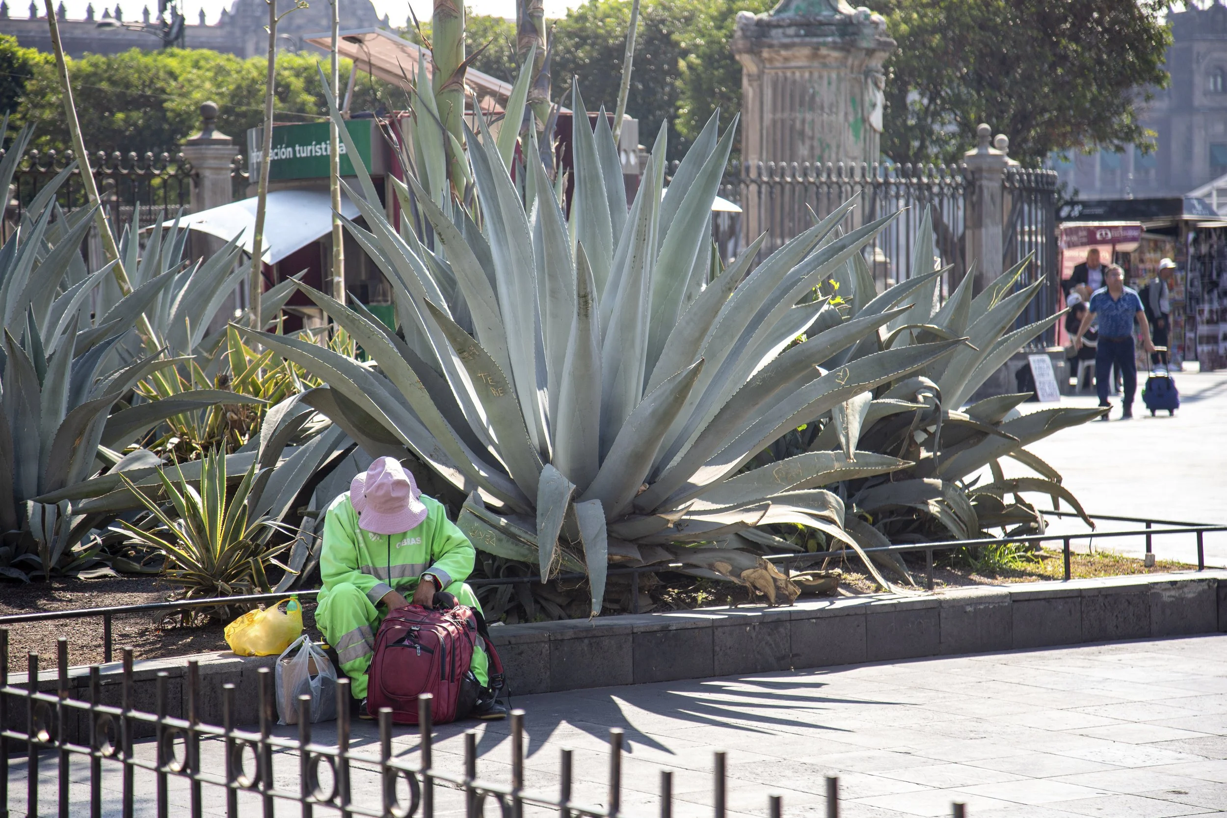 Siesta | Mexico City | 2023