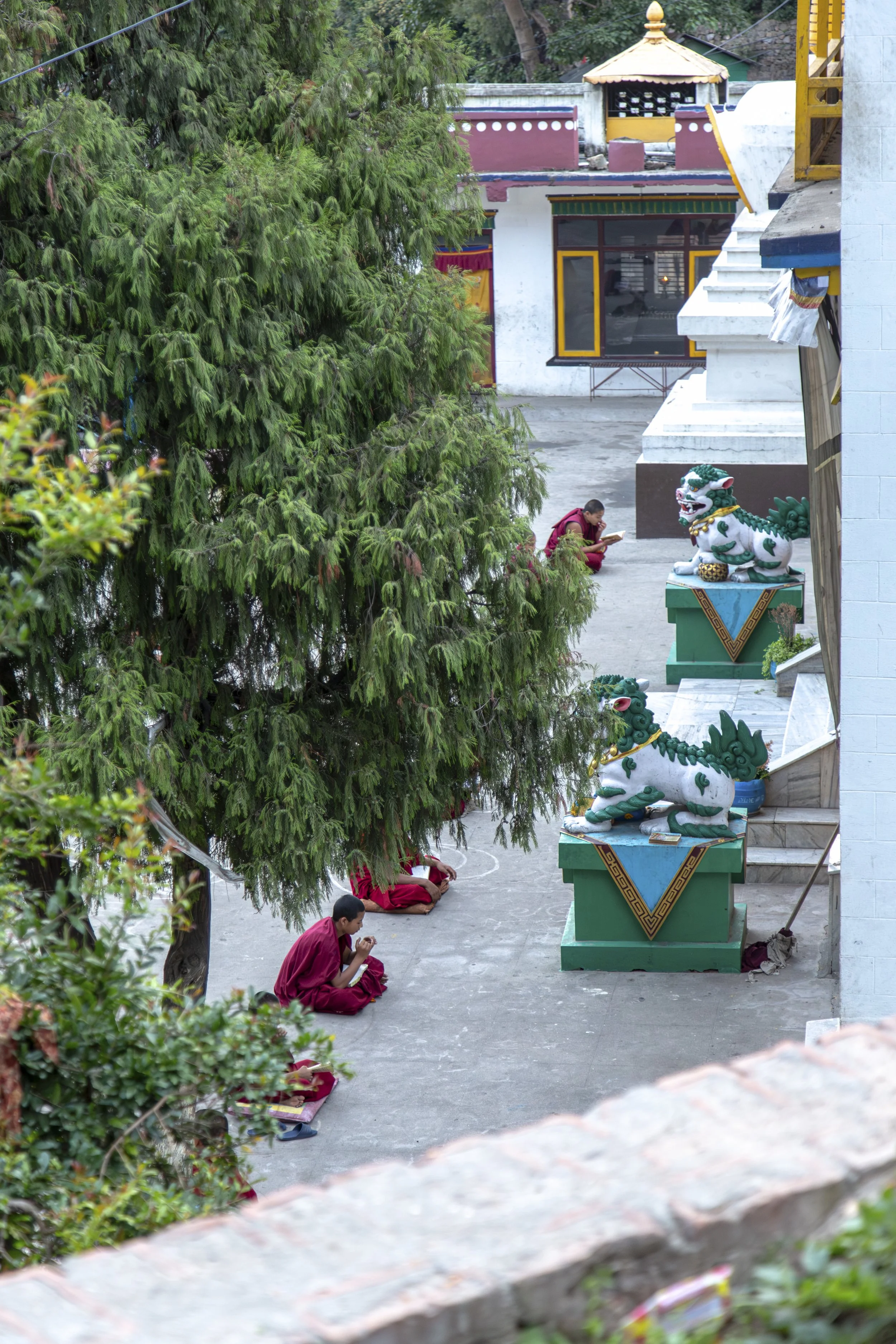 Gather | Nepal | 2016