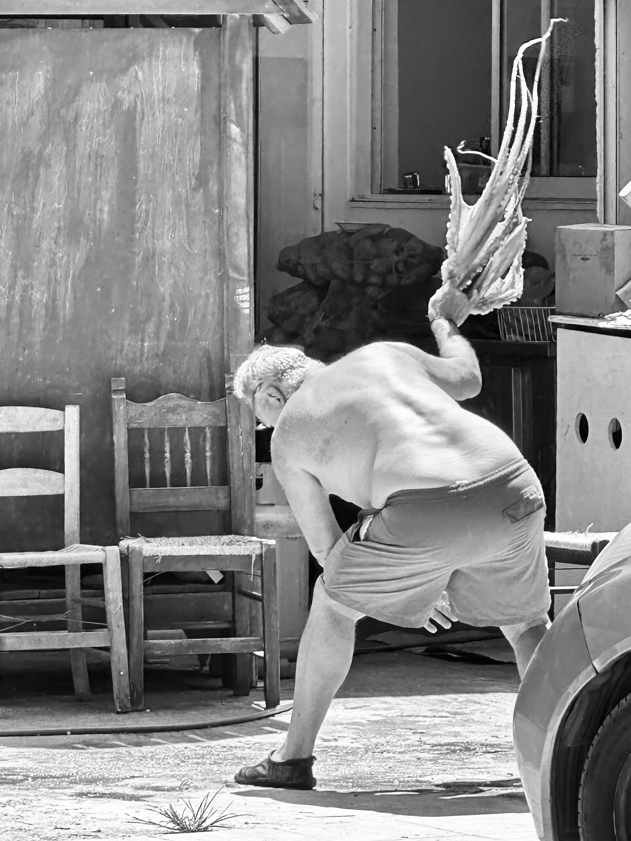 Tender | Crete | 2024