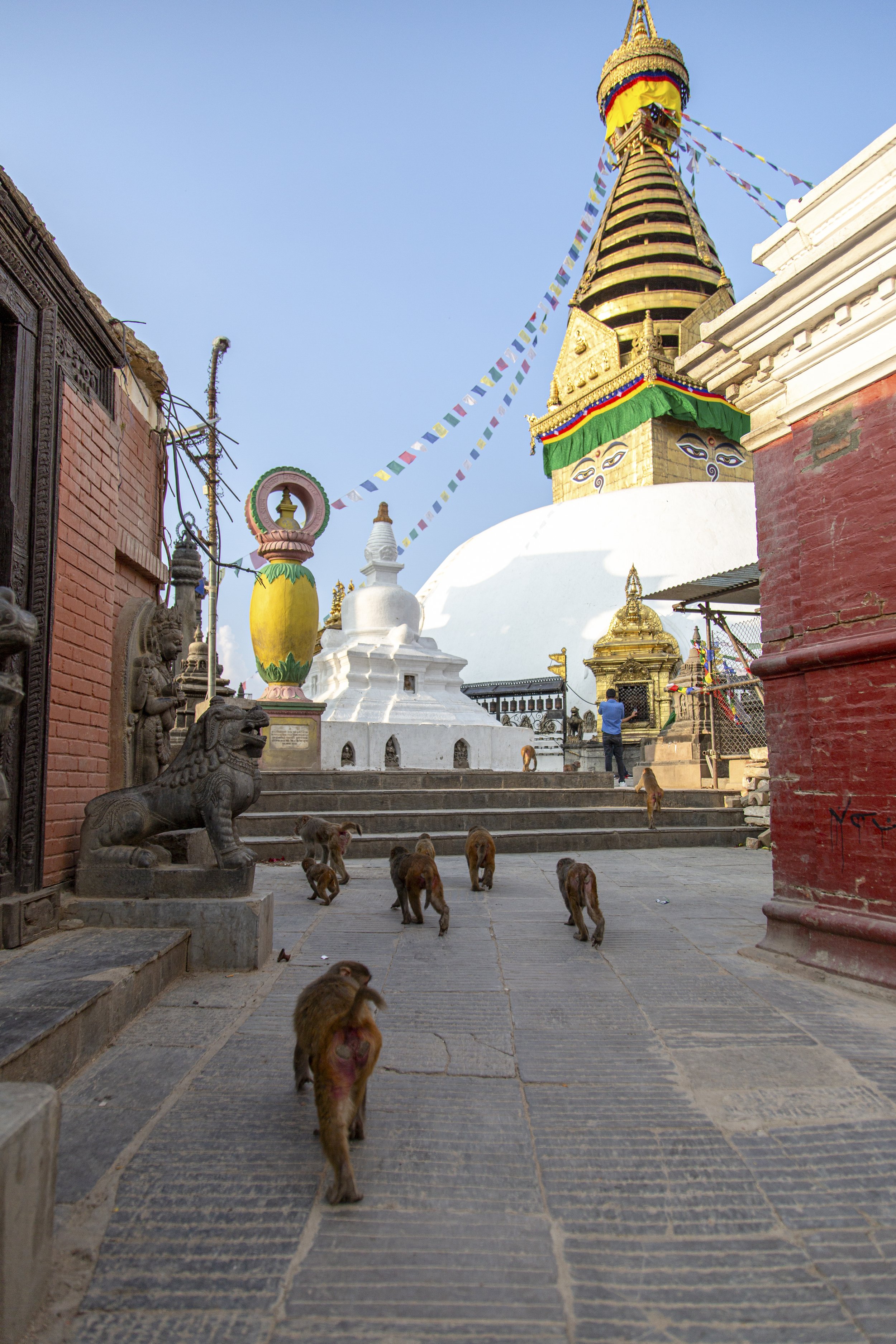 Calling | Nepal | 2016