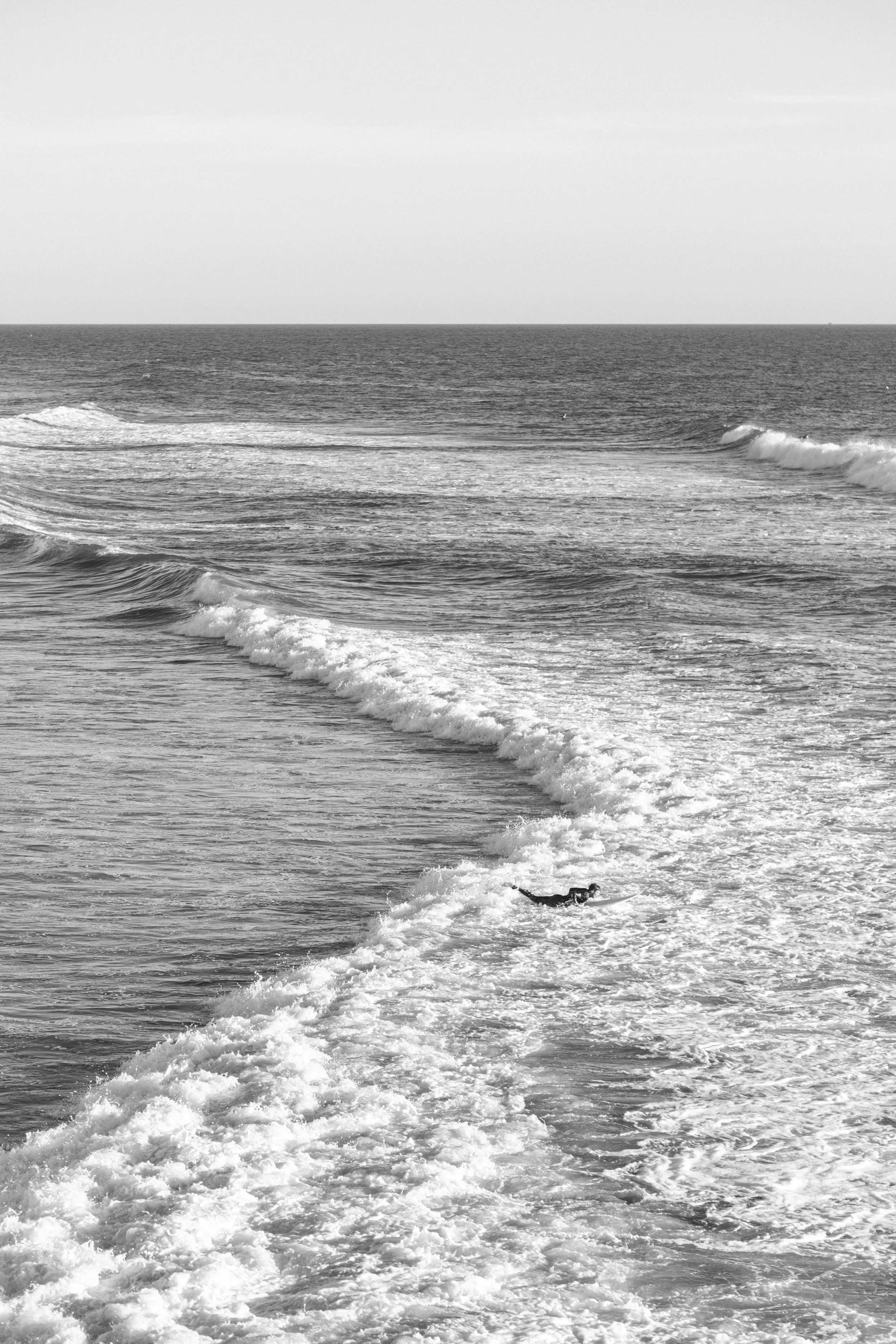 Hunting | Huntington Beach | 2018