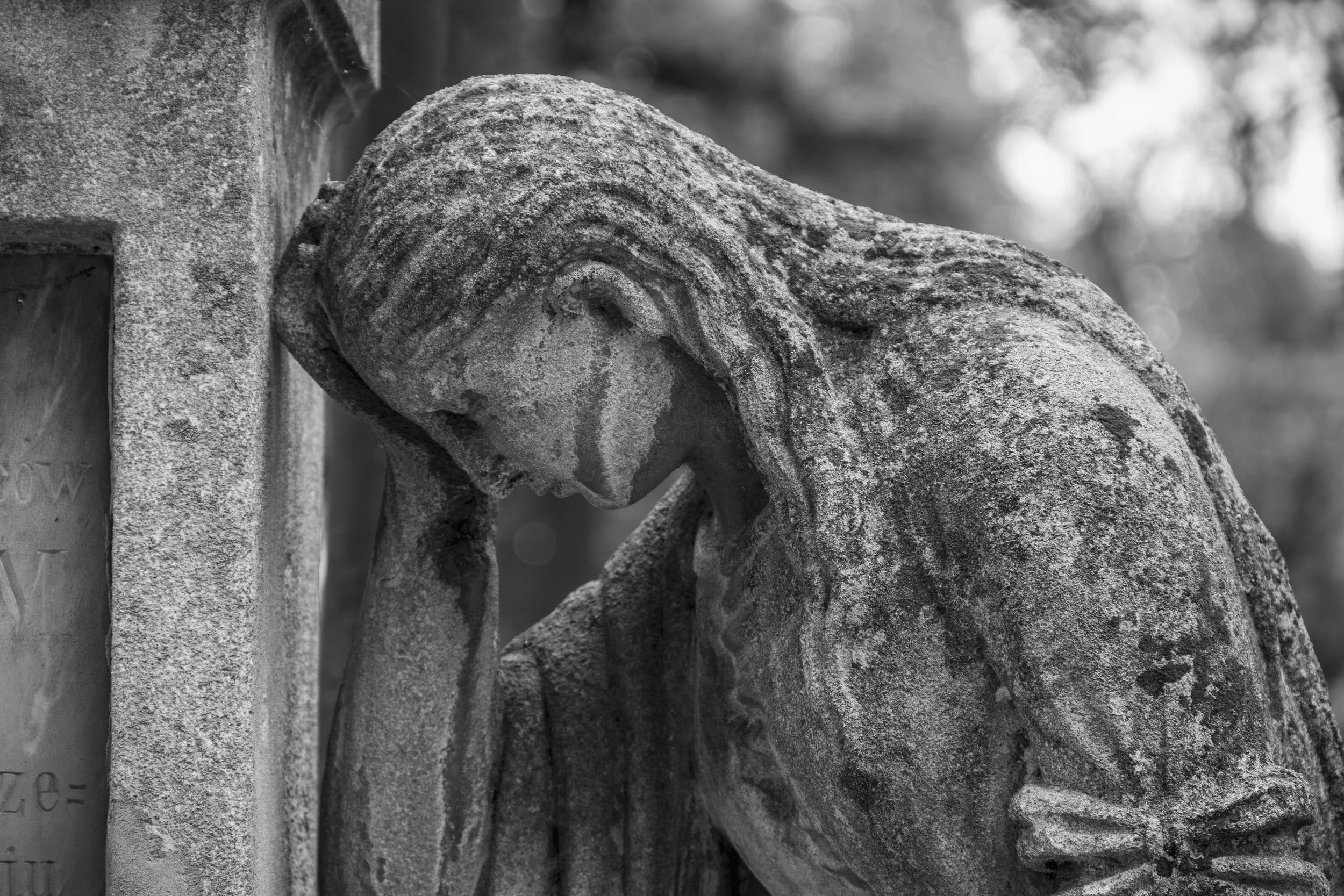 Solace | Ukraine | 2012