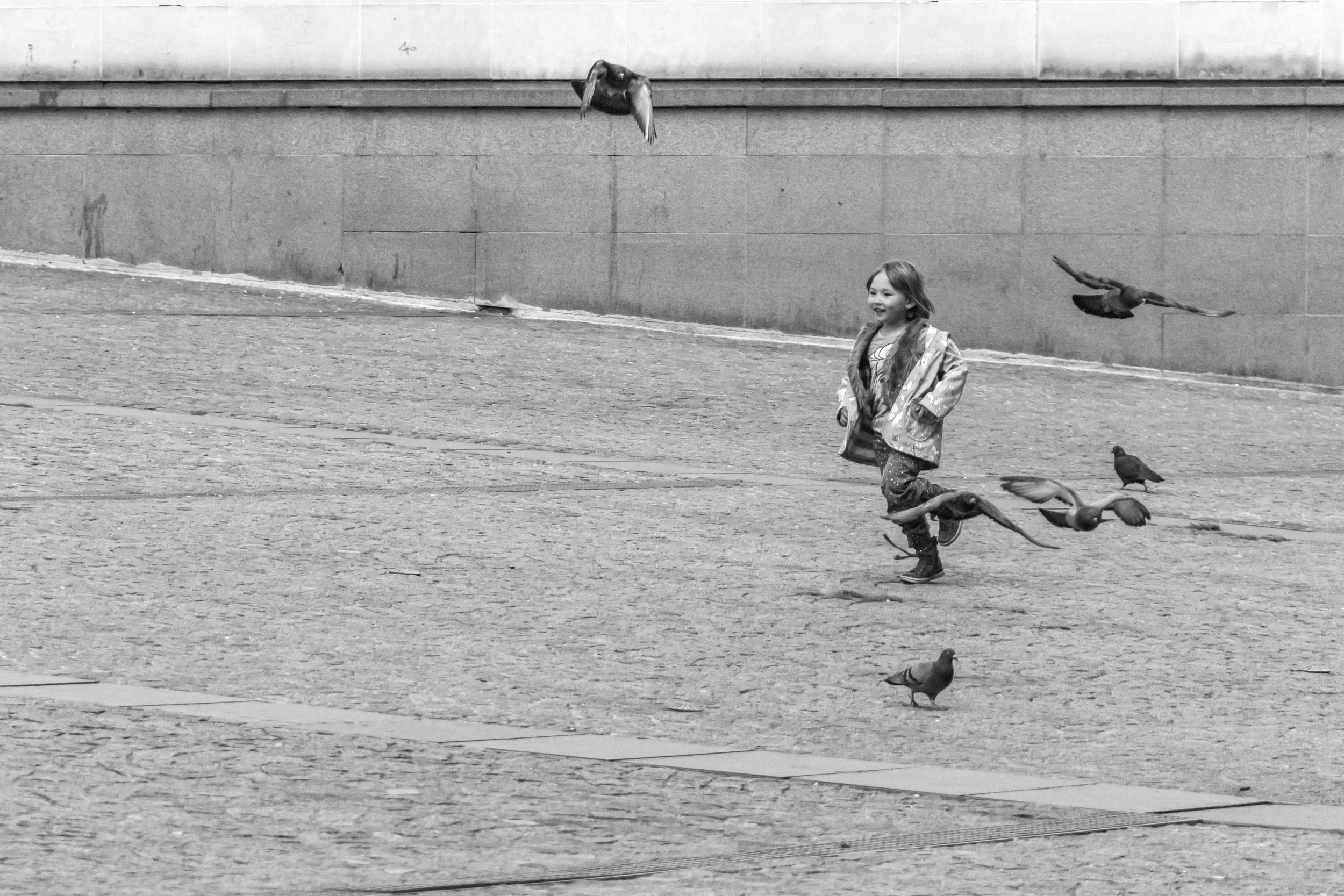 Flight | Paris | 2014