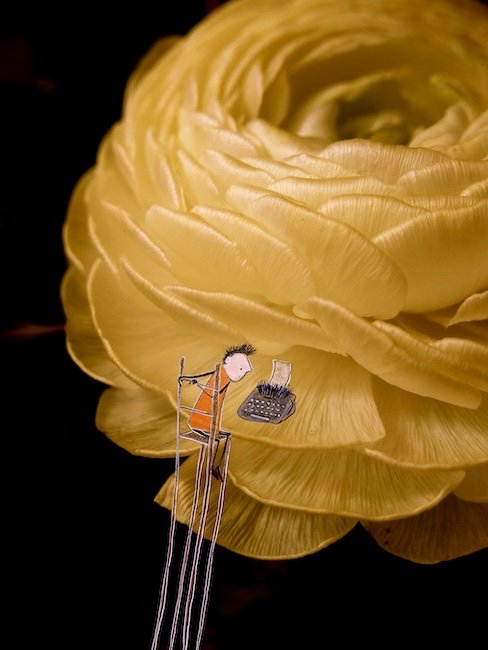 022 De schrijver.jpg