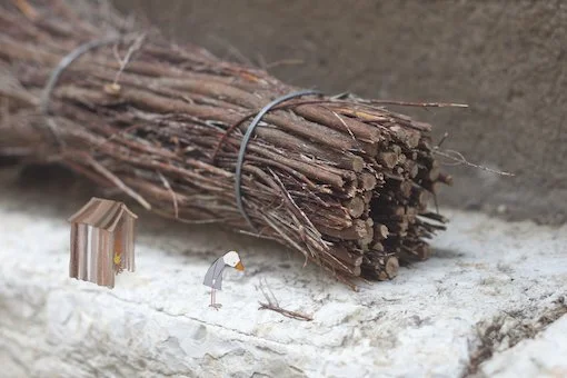 088 Sprokkelen S 12 x 18.jpg