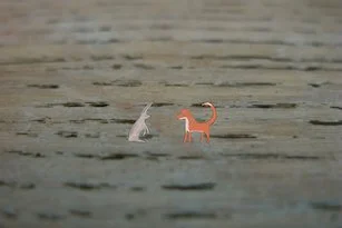 094 Vos en haas kopie.jpeg