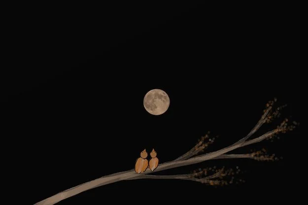 099 Volle maan kopie.jpeg