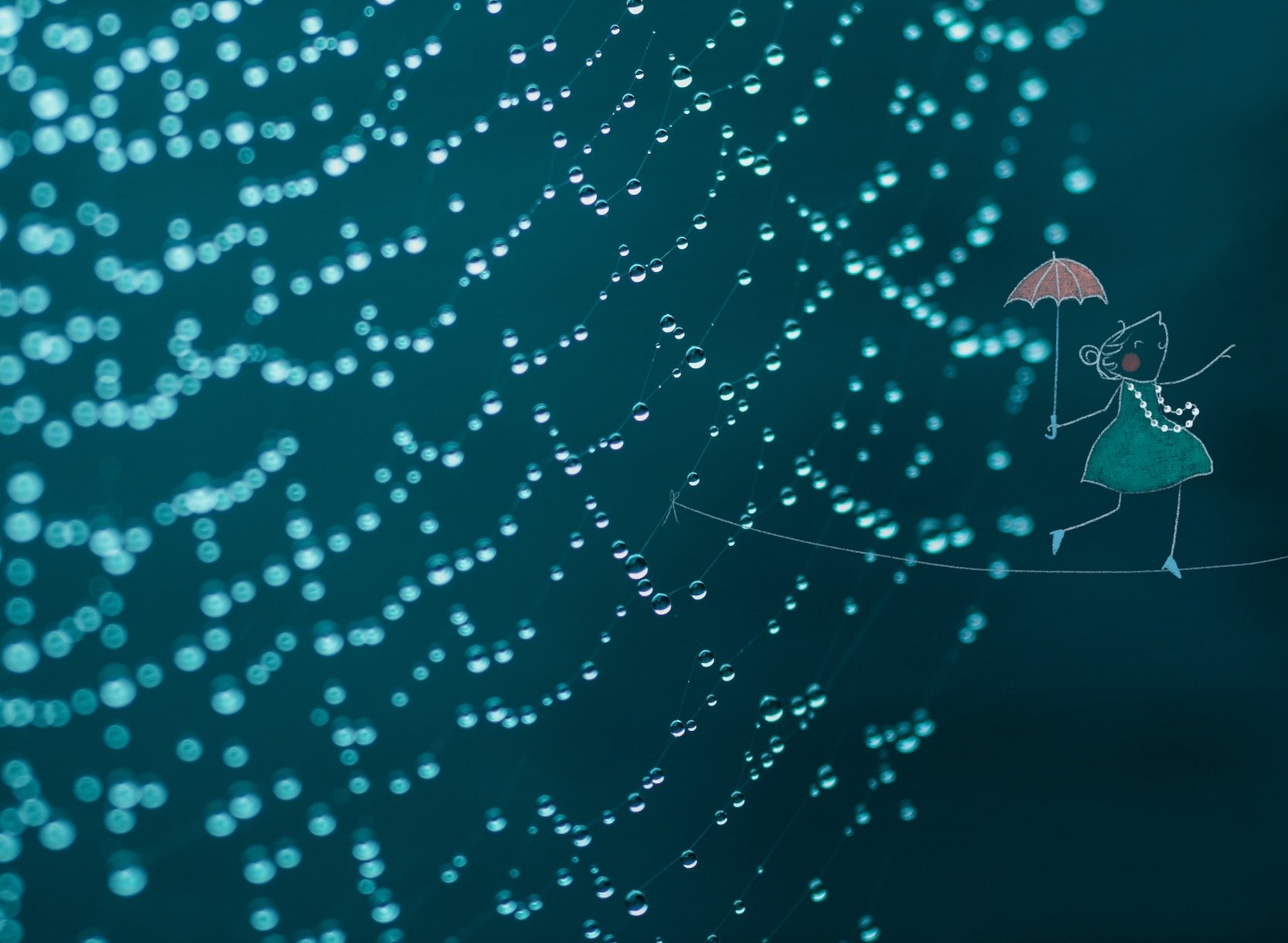 146 Regenweb def.jpg