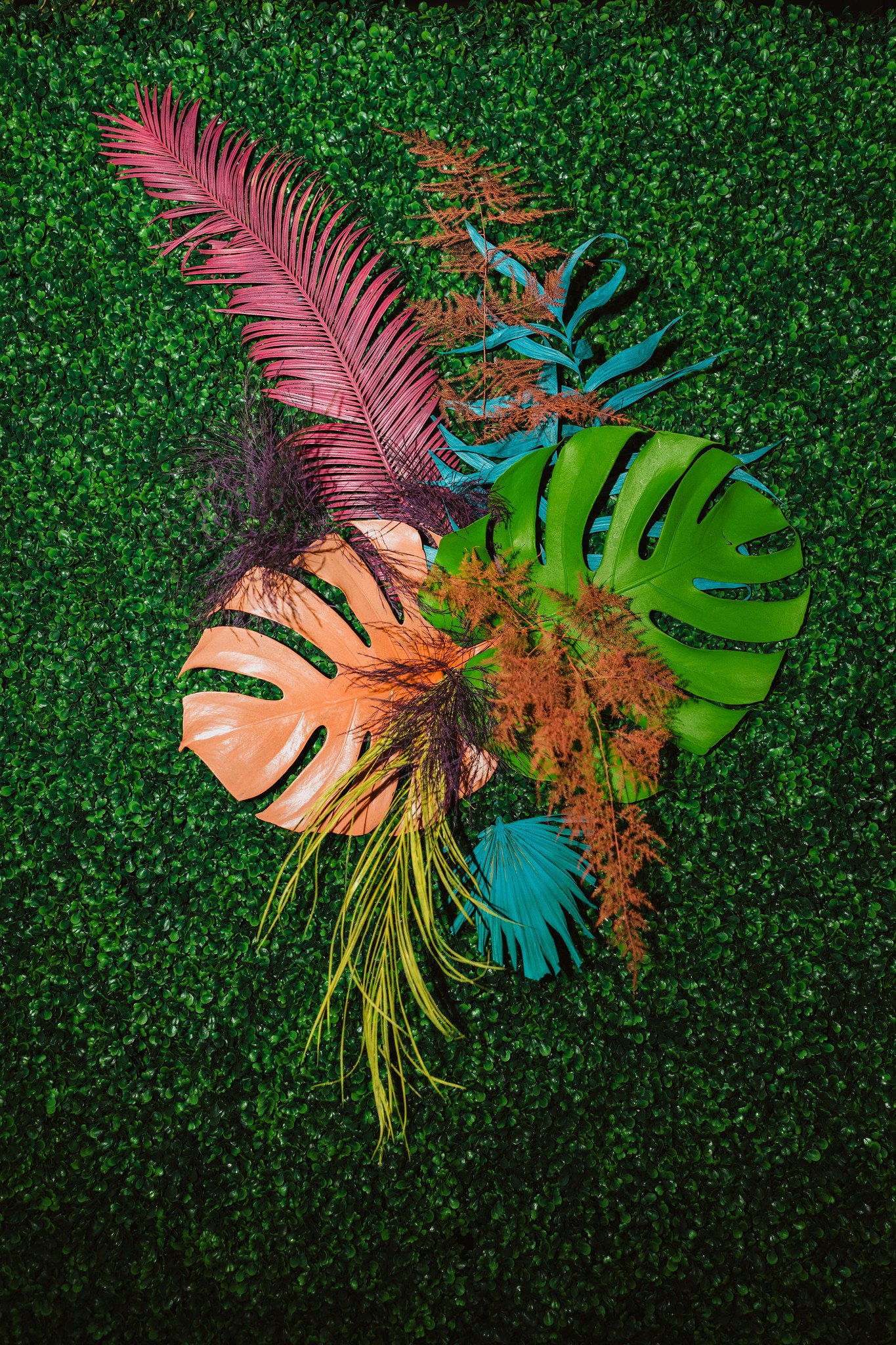 Colorful tropical leaves, including a pink palm leaf, a green monstera leaf, a blue leaf, and an orange leaf, against a textured green background.