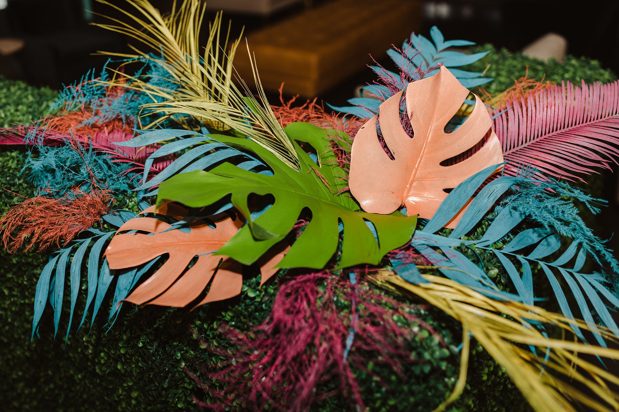 Colorful tropical leaves arranged on green foliage background.