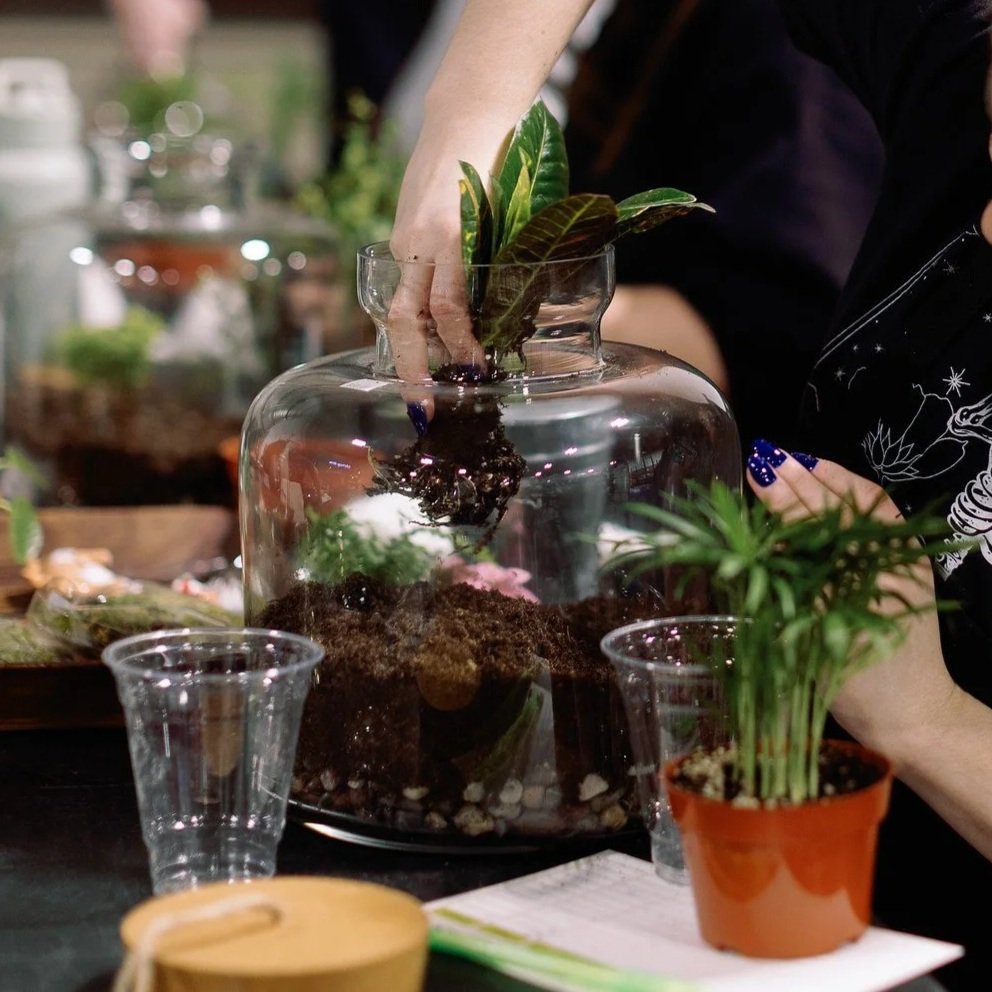 Terrarium Workshop