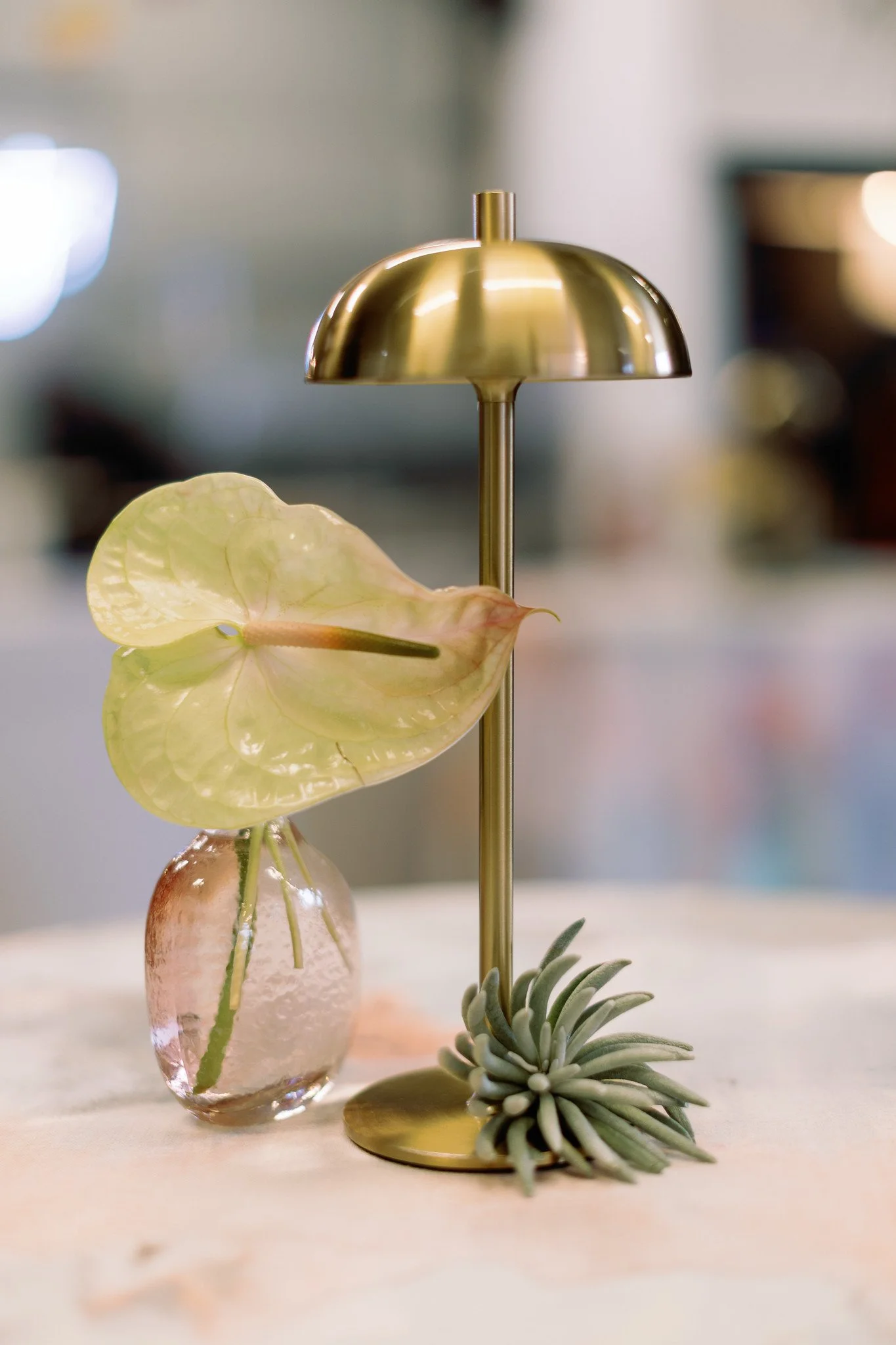 Close-up of a modern gold desk lamp with a reflective curved shade, a small arrangement of green succulents, and a pinkish vase with a leaf inside, set on a light-colored surface with a blurred background.