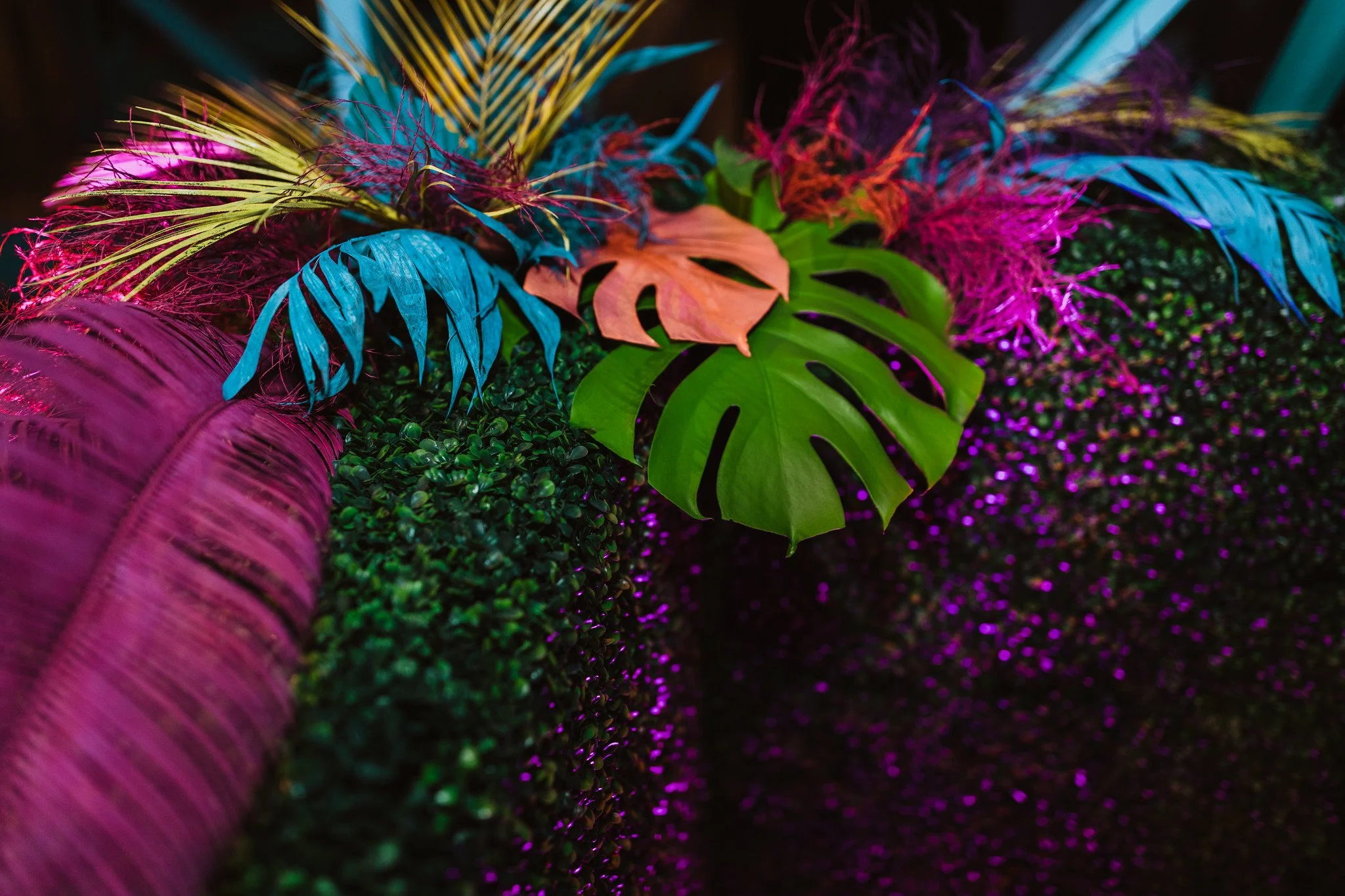 Colorful tropical leaves, including pink, blue, purple, and orange, with a black background and pink and purple lighting effects.