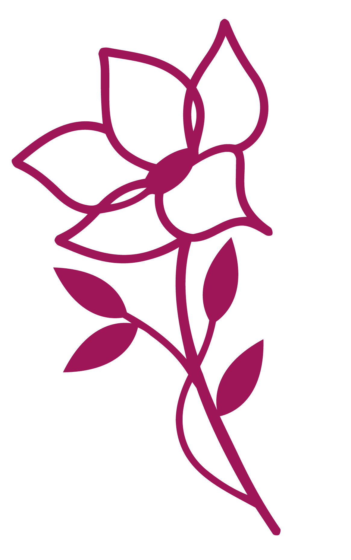 Hawthorn flower, flower of fertility