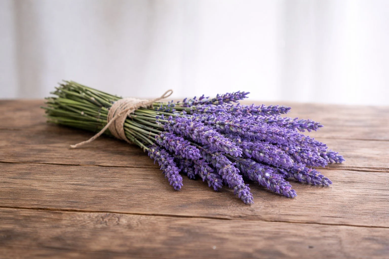 Bouquet of purple lavender flowers tied with string on a wooden surface.