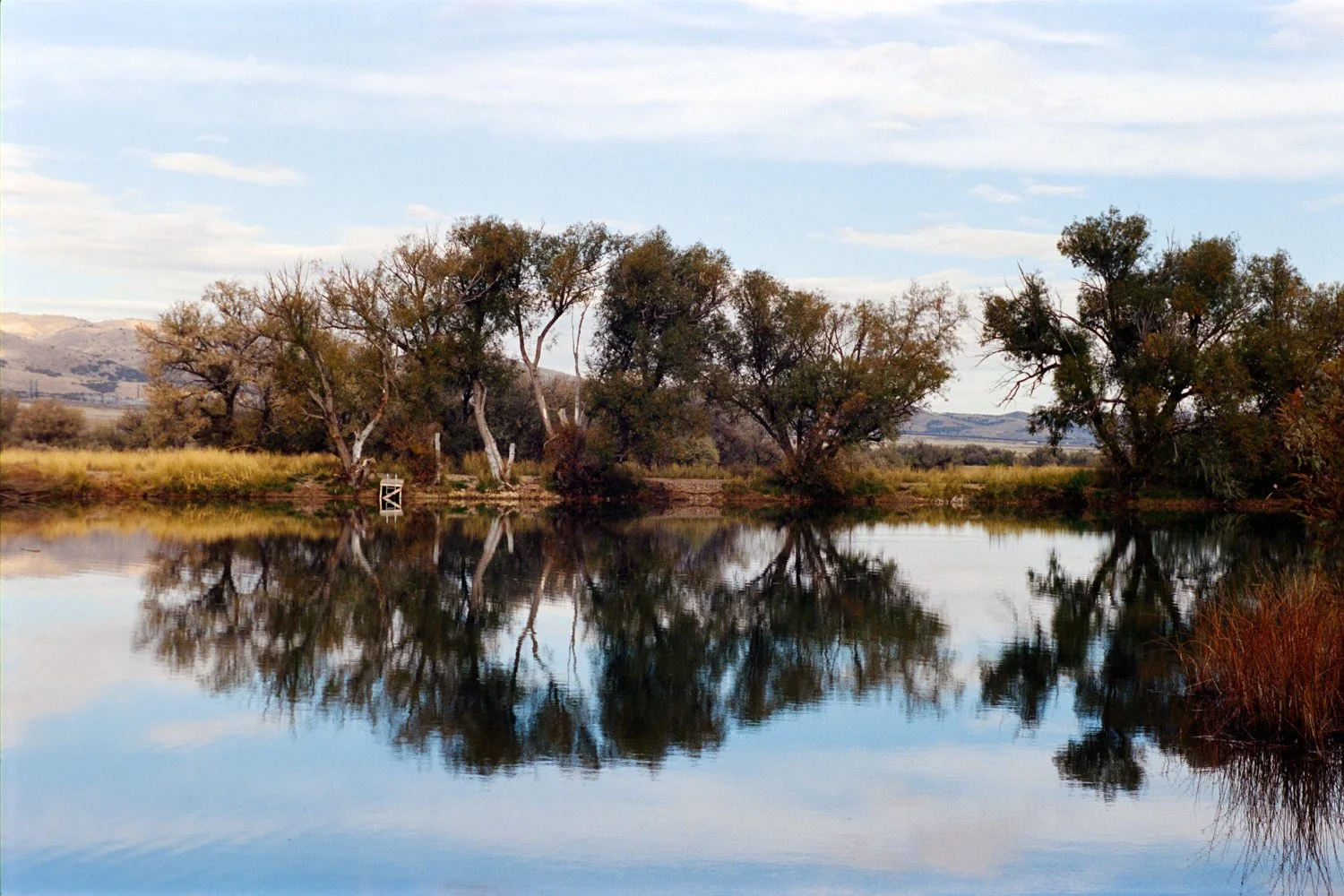Burraston Ponds-12.jpg
