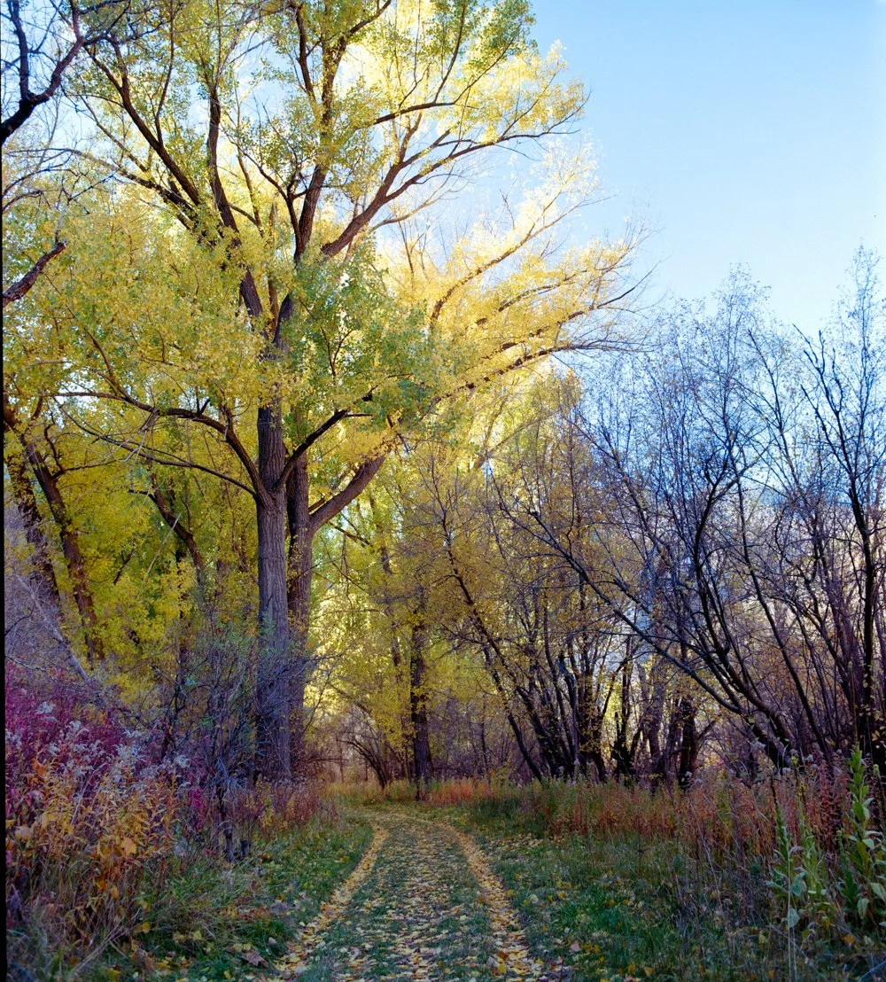 South Fork Canyon-15.jpg